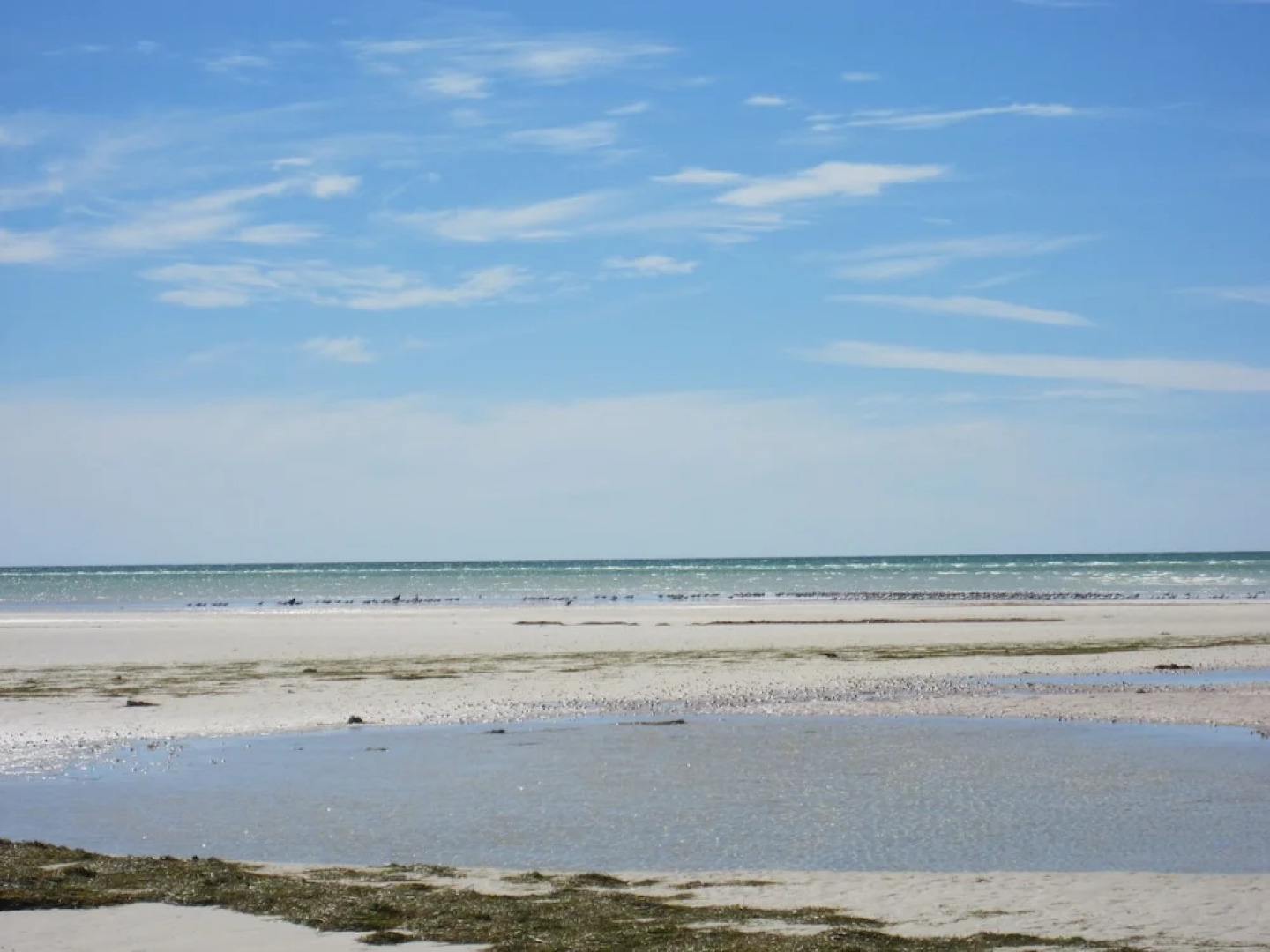 Beautiful Gulf Coast Living on the Canal - Three Bedroom Home