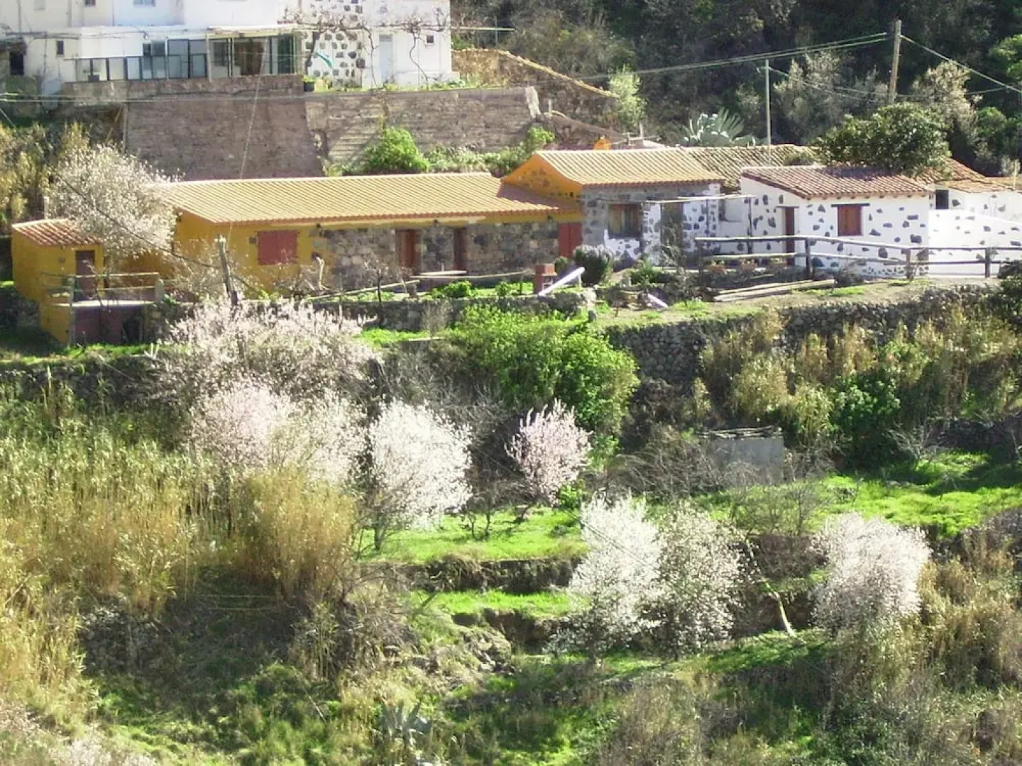 Casa Rural - Cottage Bentayga