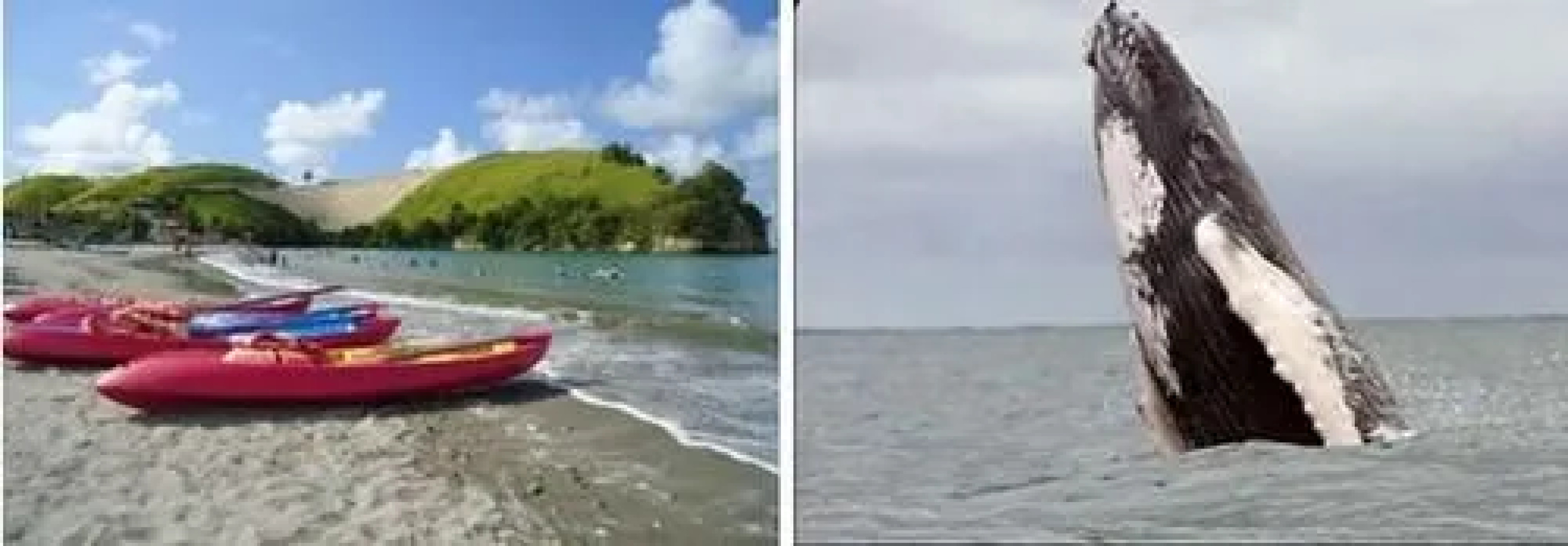 Casa Grande Hotel Inn