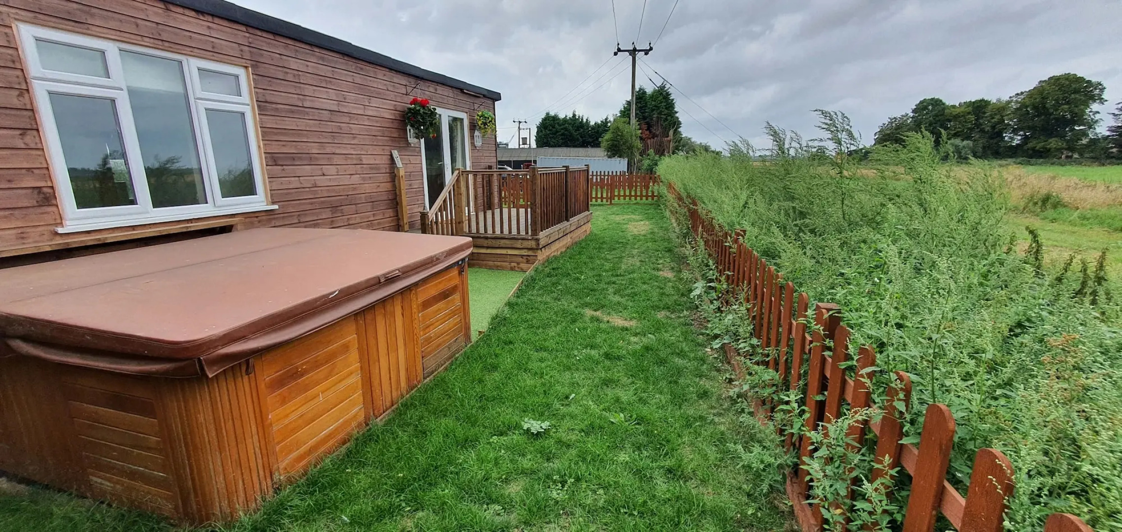 The Dog In A Doublet