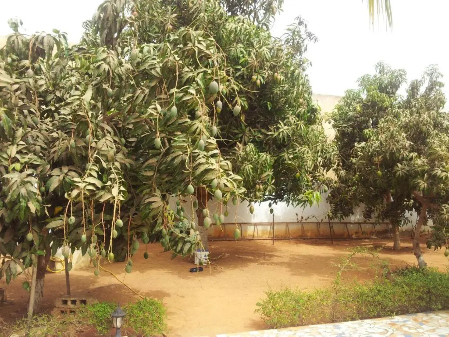 Residence Saint James