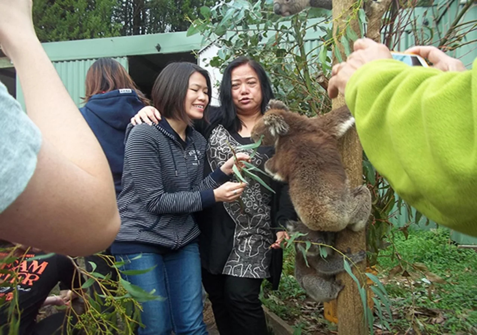 Fauna Australia Wildlife Retreat