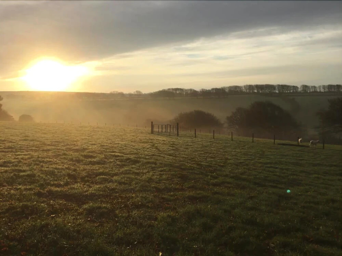 Higher Culloden Farm