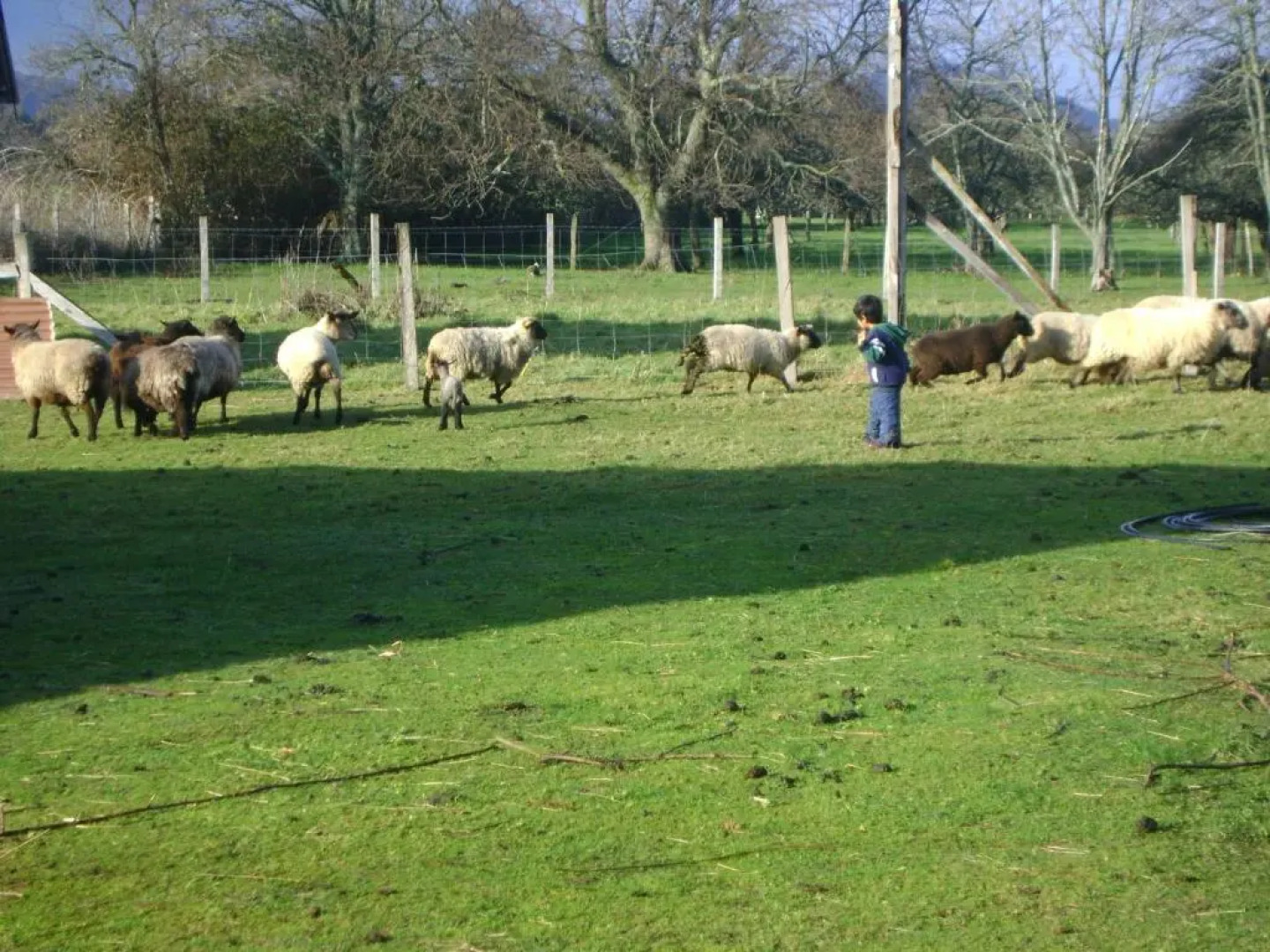 La Posada del Colono