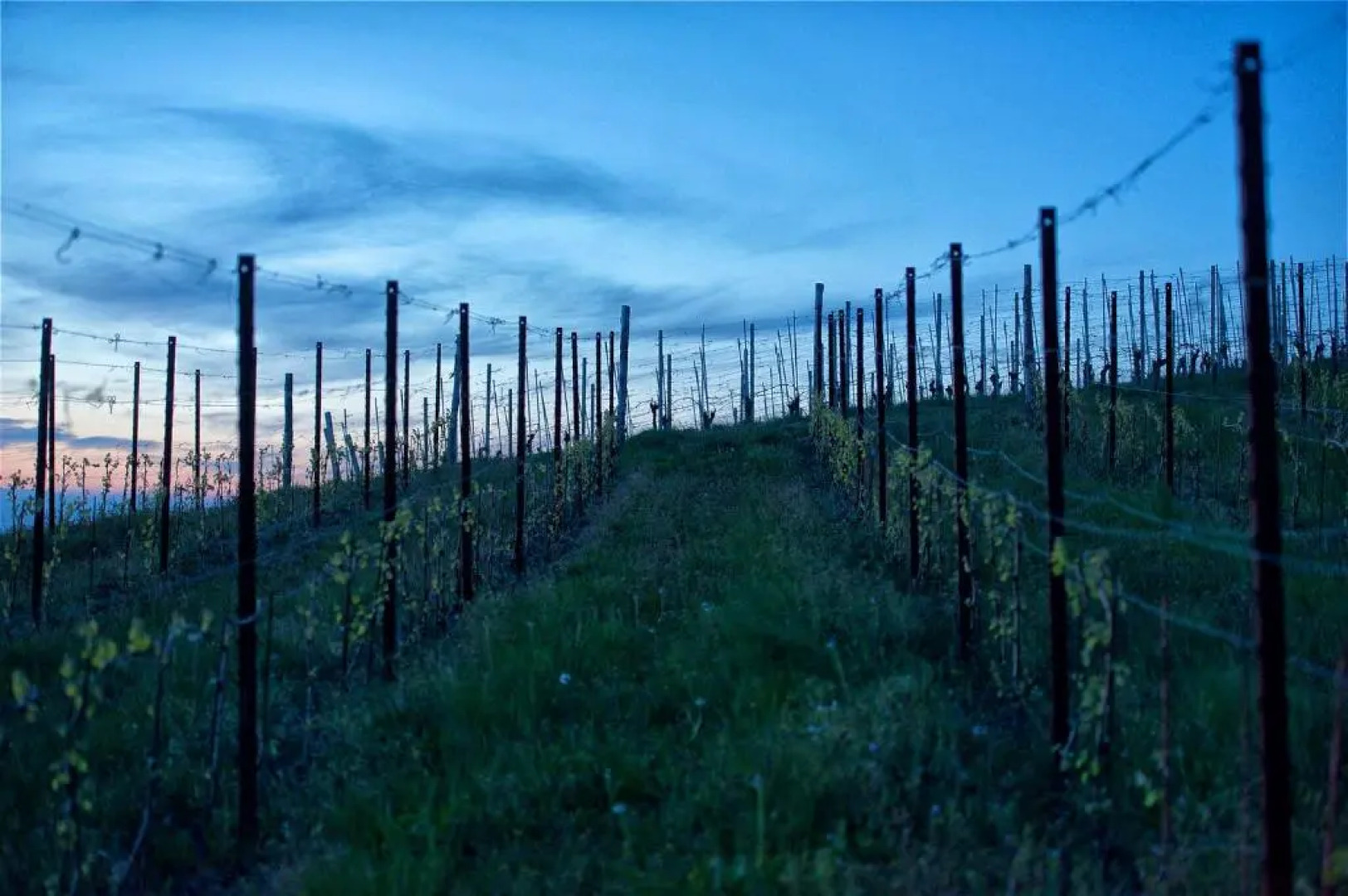 Ciabot Apartments Treiso Apt2