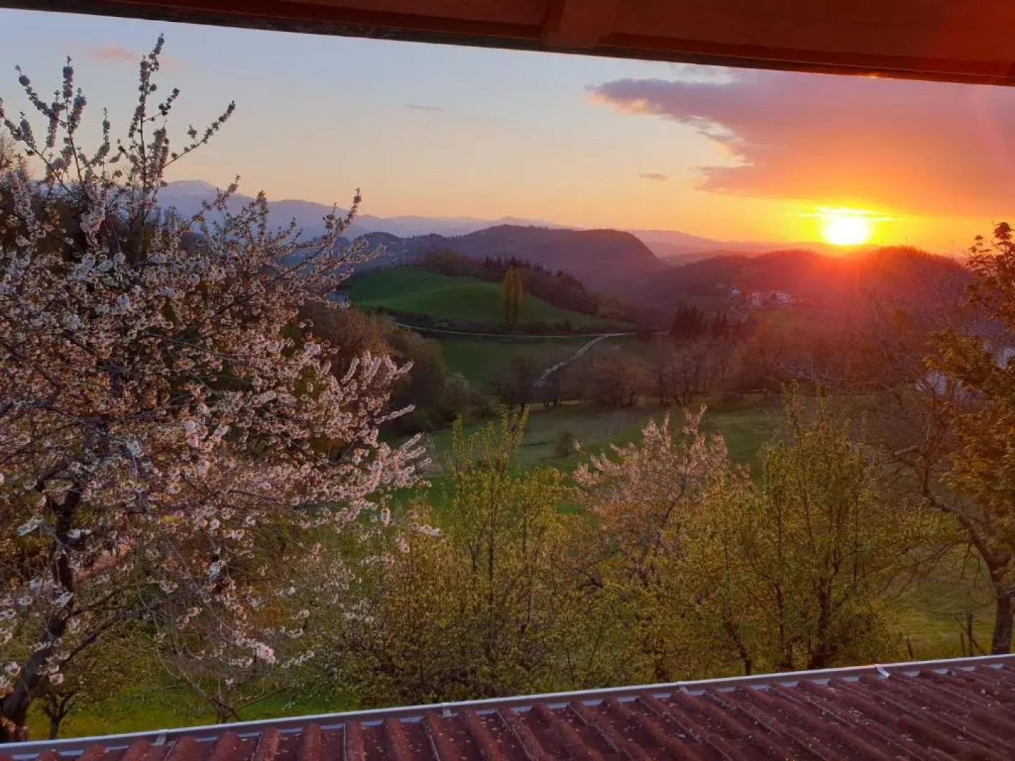 I Bocci (Adults Only)