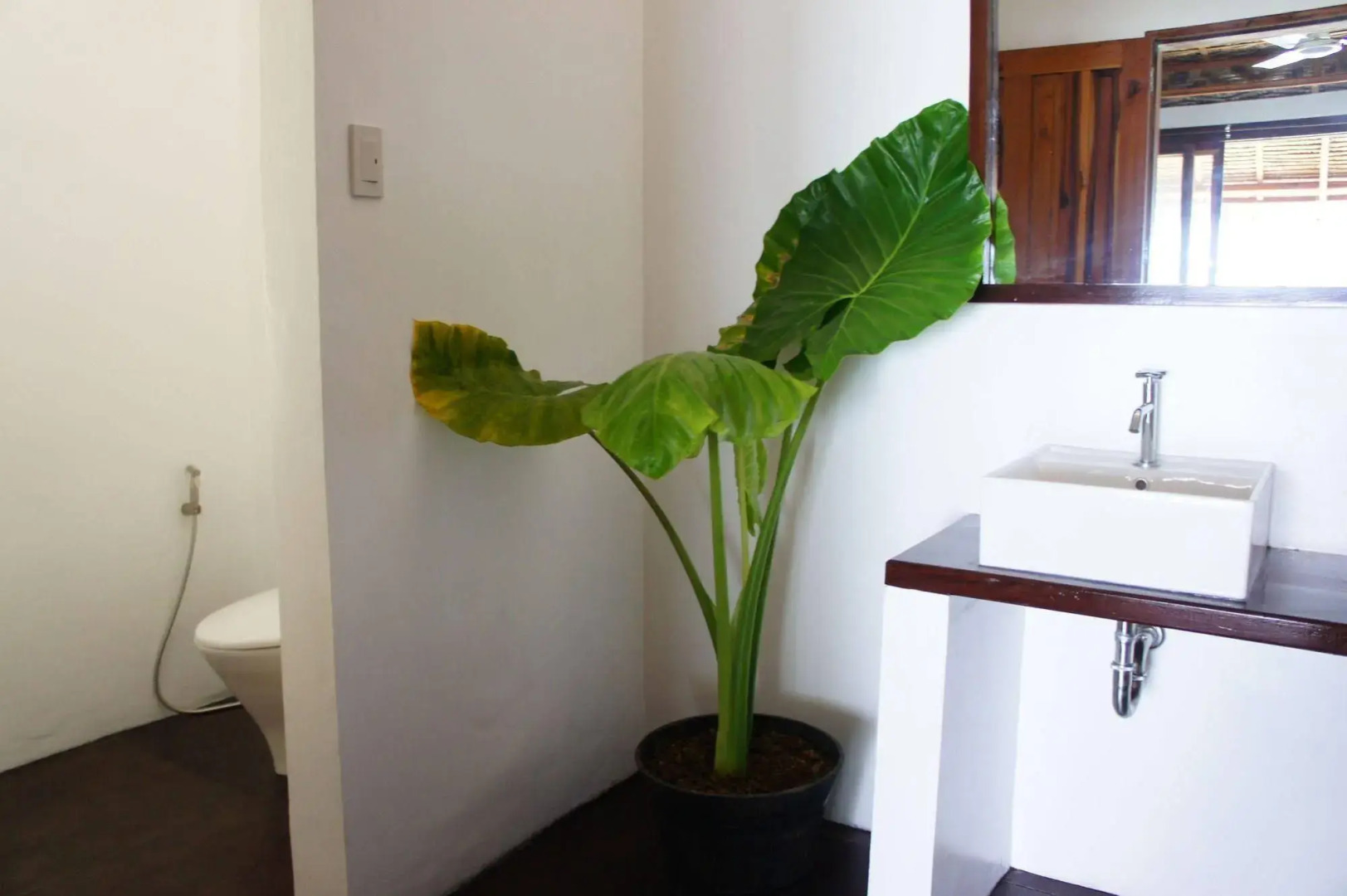 Siargao Inn Beach Resort