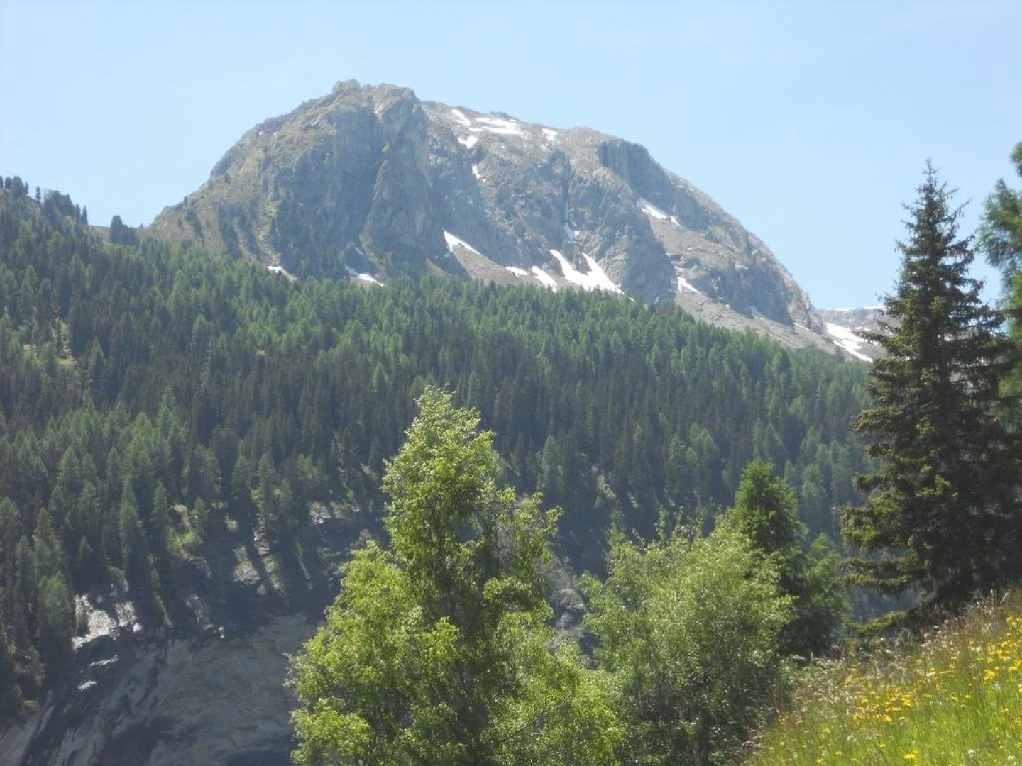 Café Pension Muntanella