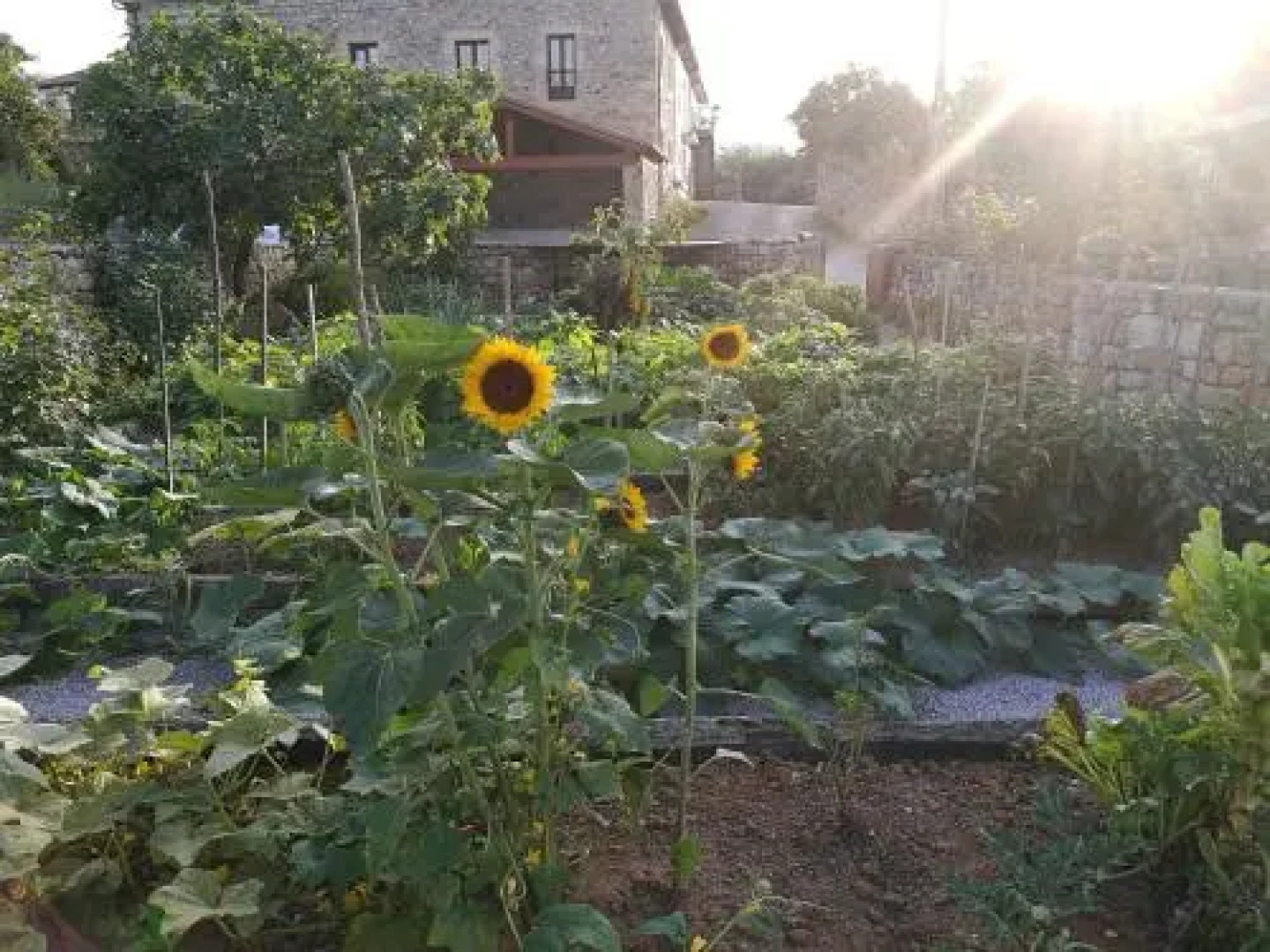 Las Azadas Alojamiento Rural