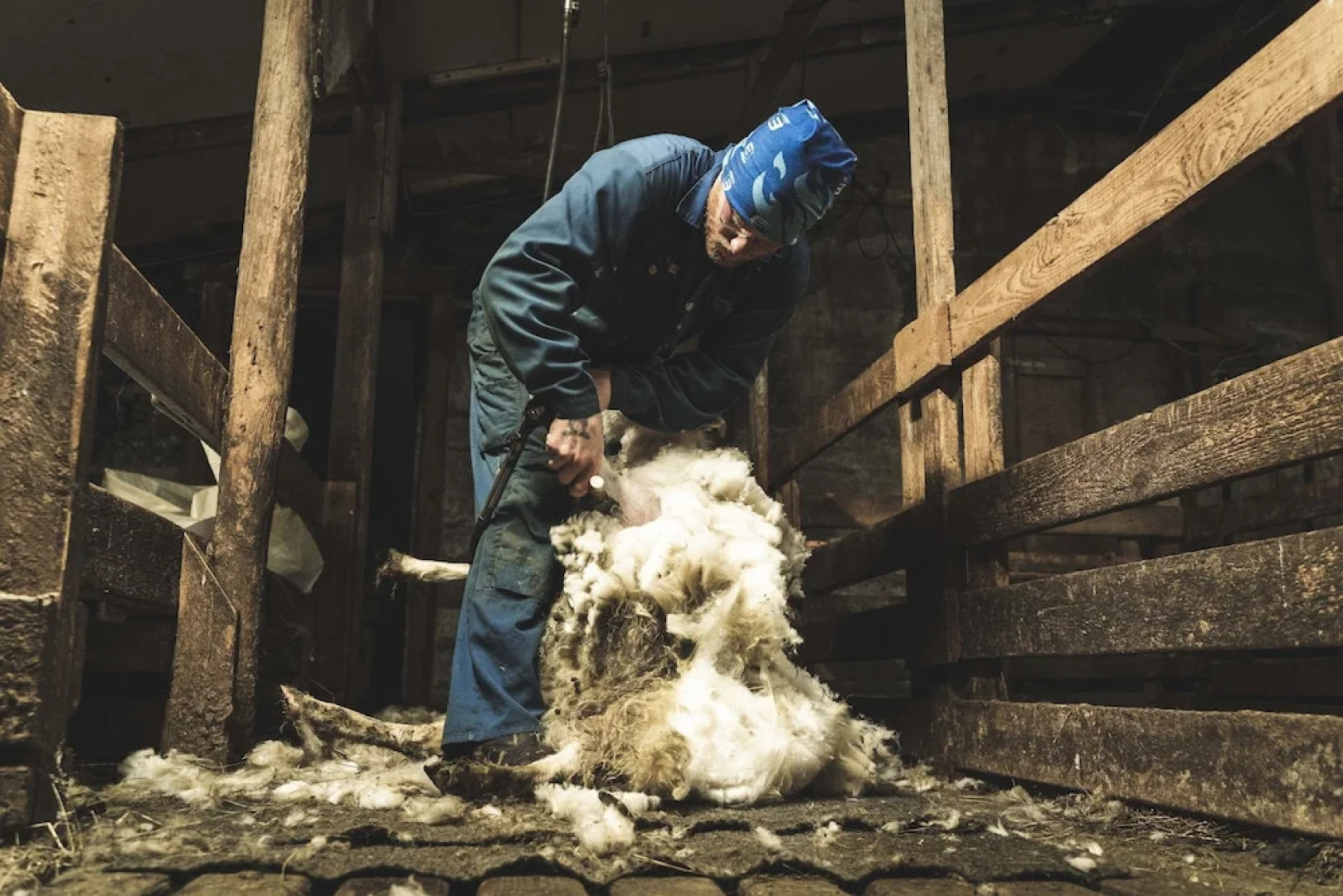 Litlabjarg Guesthouse