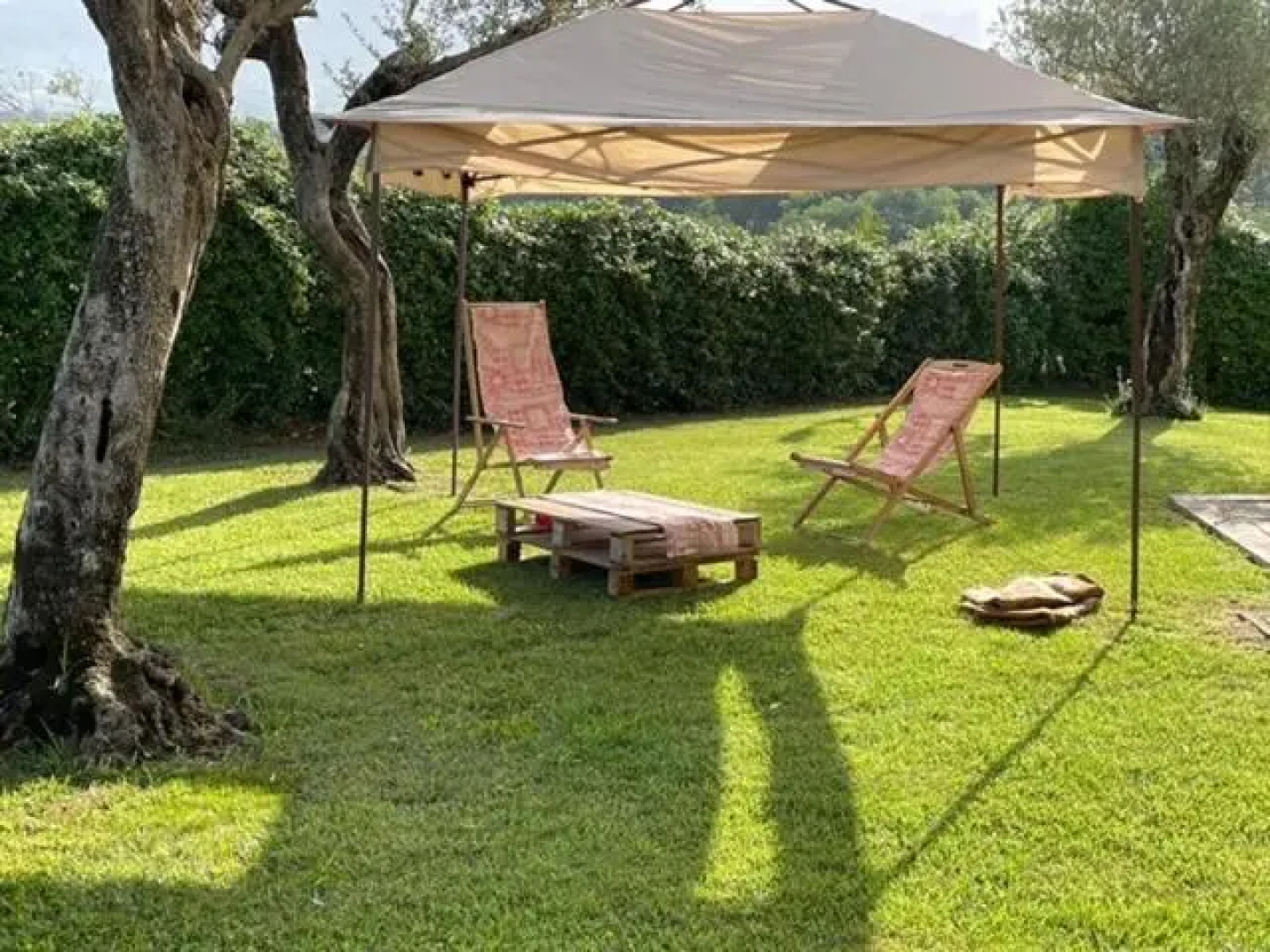 Azienda Agricola Carbone Cosimo