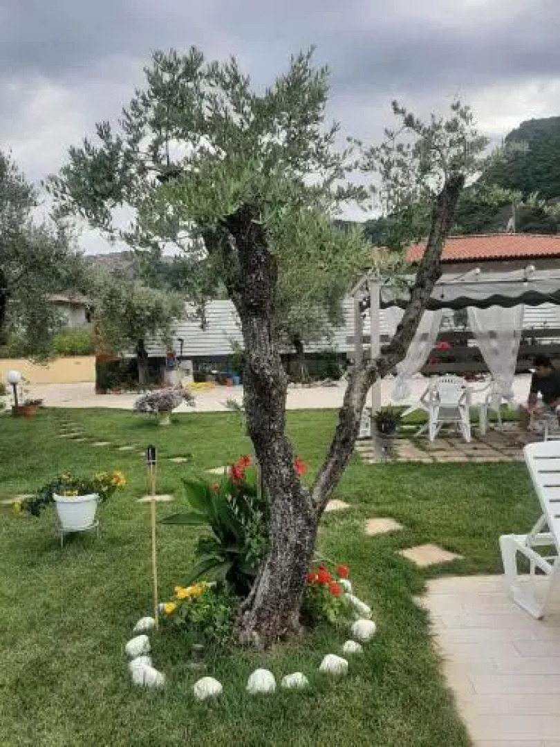 B&B L'Ulivo