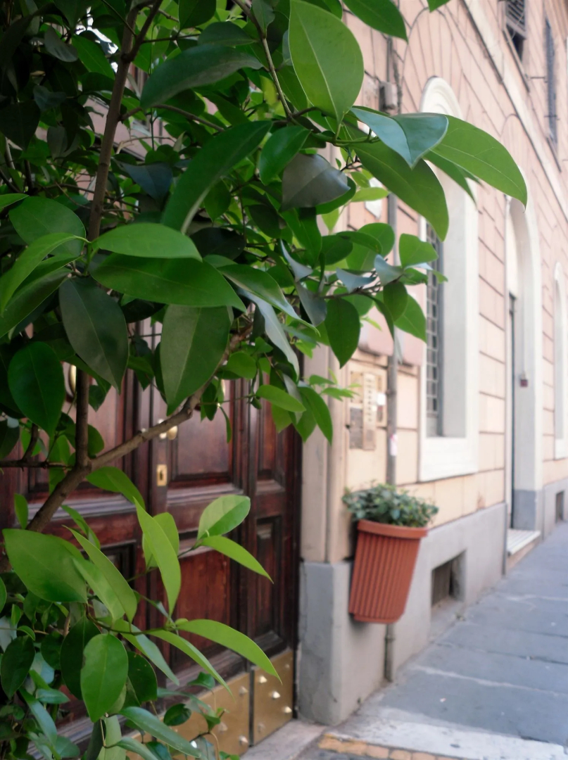 Castelfidardo