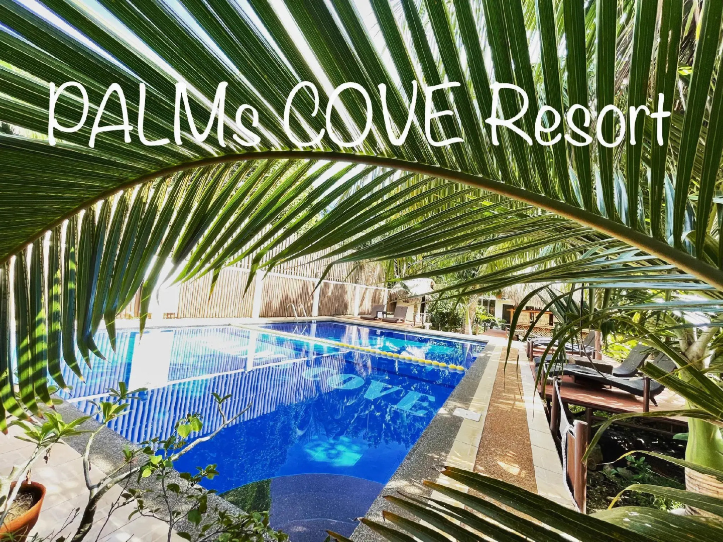 Palms Cove Resort