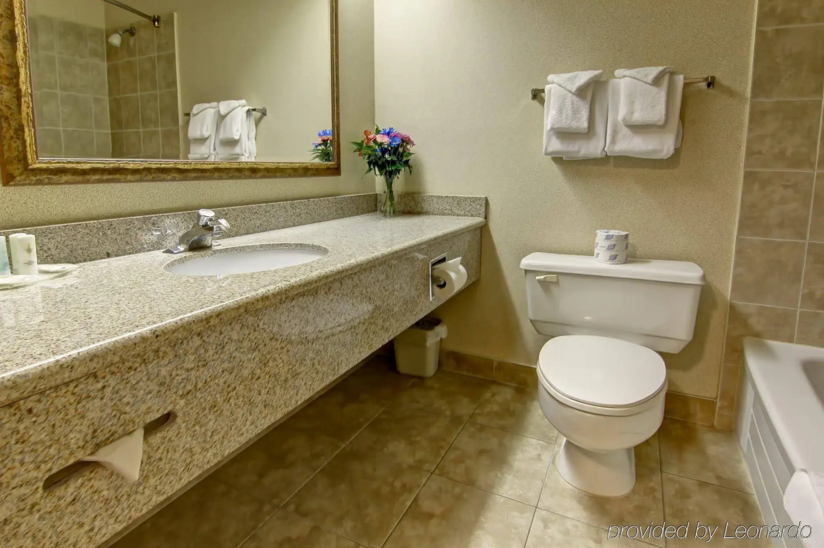 Comfort Inn and Suites Ingersoll