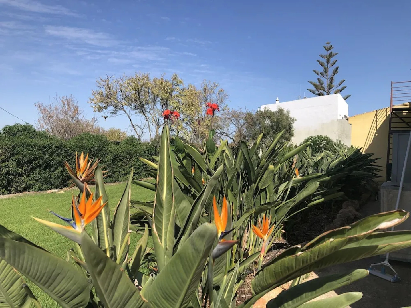 Rustic Villa With Pool Near Olhao