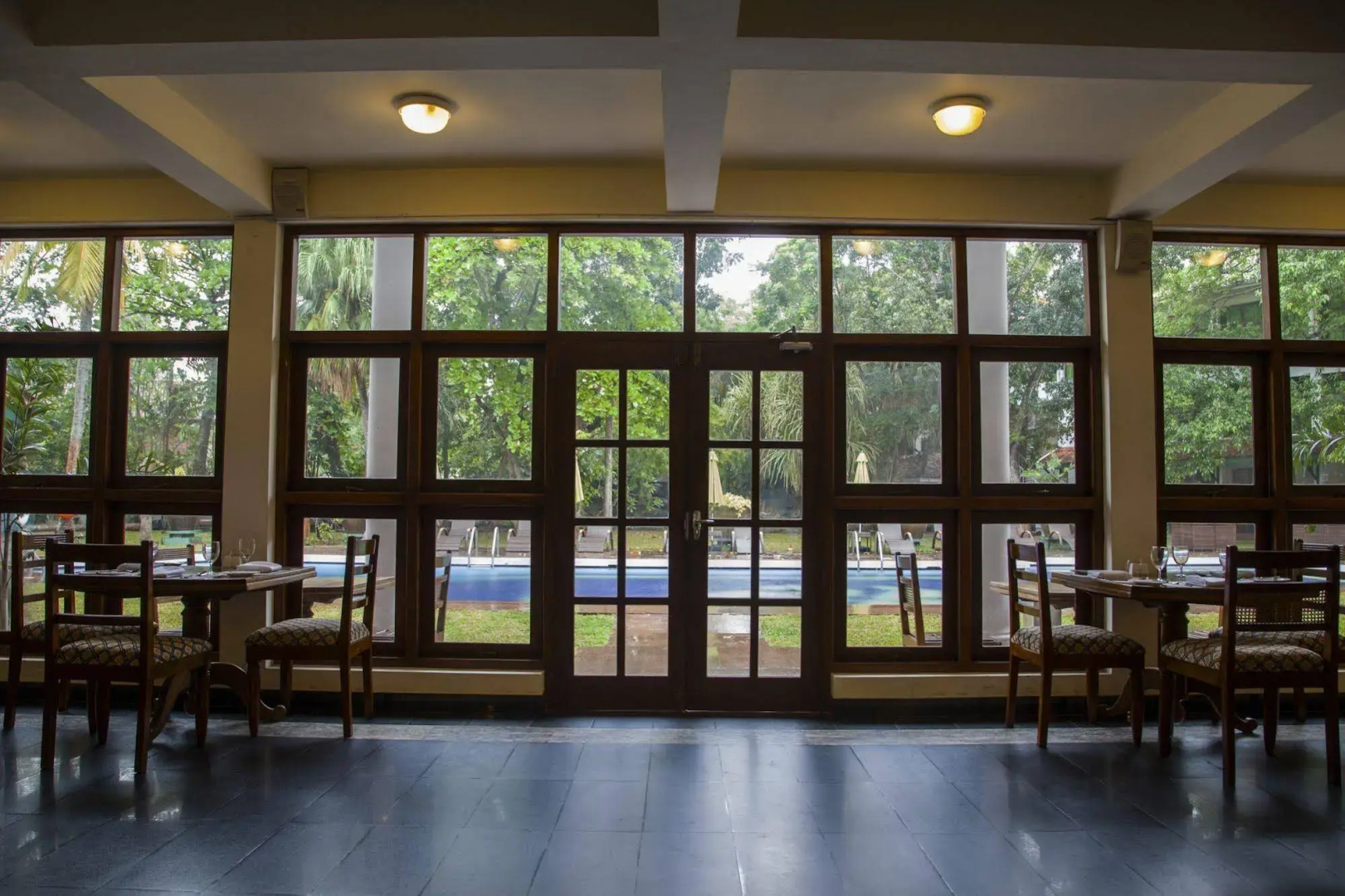 Palms, Mount Lavinia