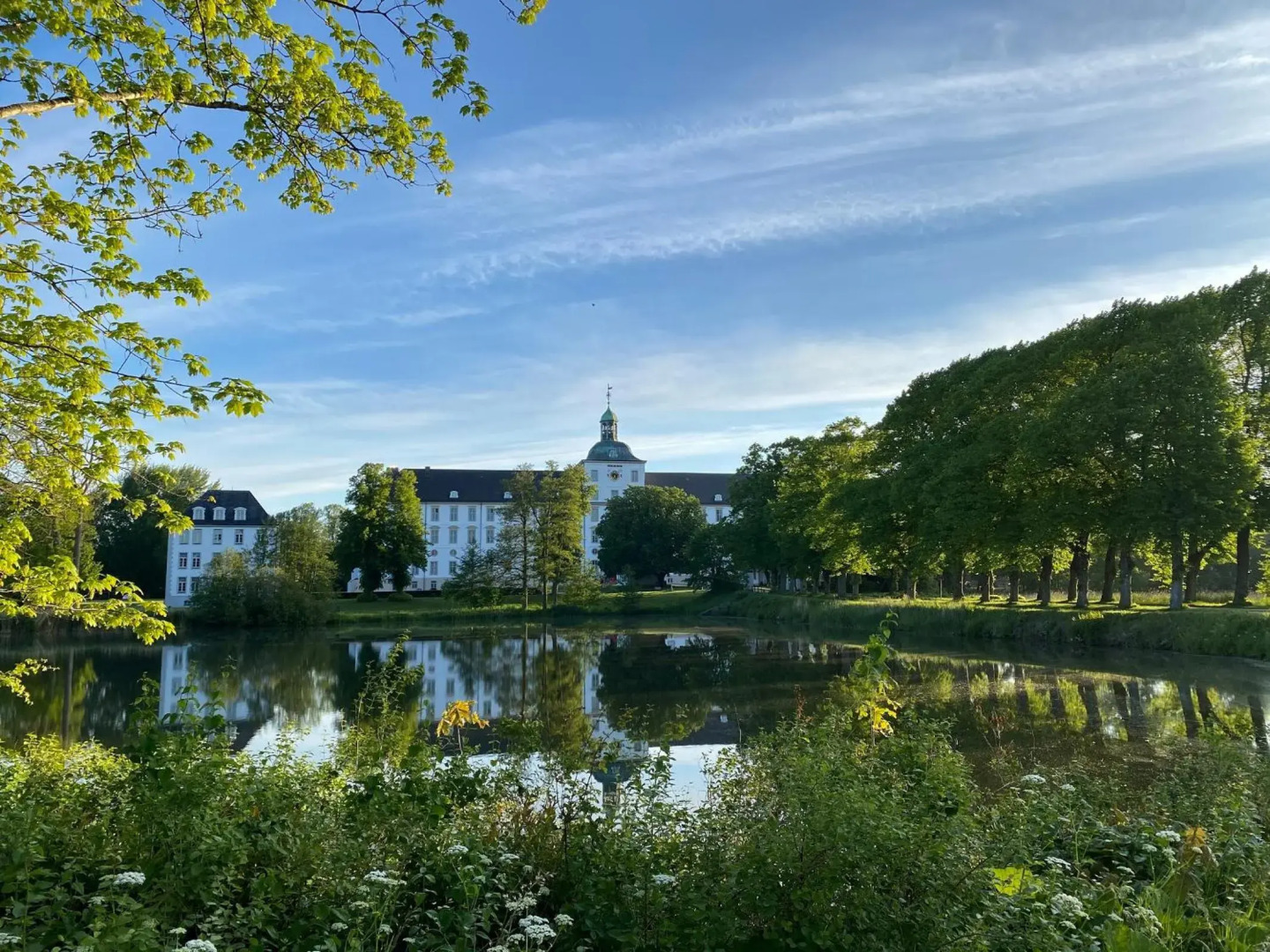 Reethüs Schleiblick