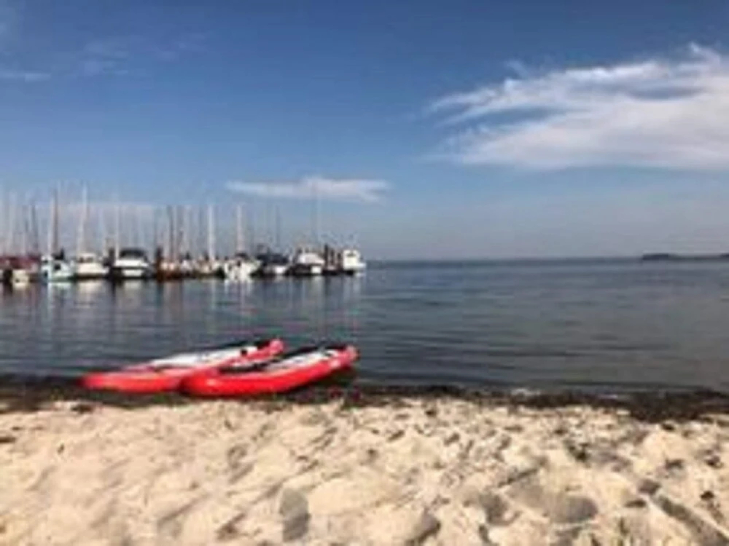 Apartment With Terrace Near the Baltic Sea