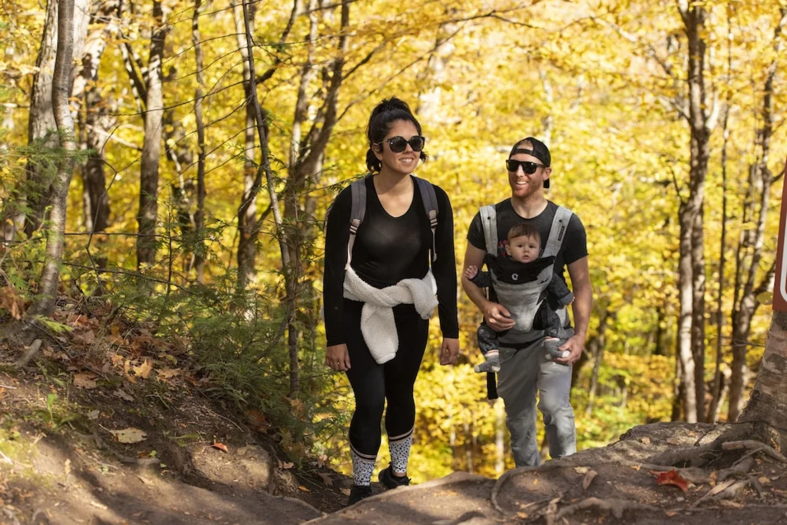 Blue Mountain Resort Inn