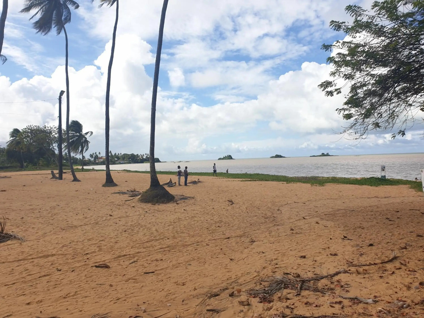 Le Jardin Secret Guyanais # Piscine # Fibre # Tente Lumineuse
