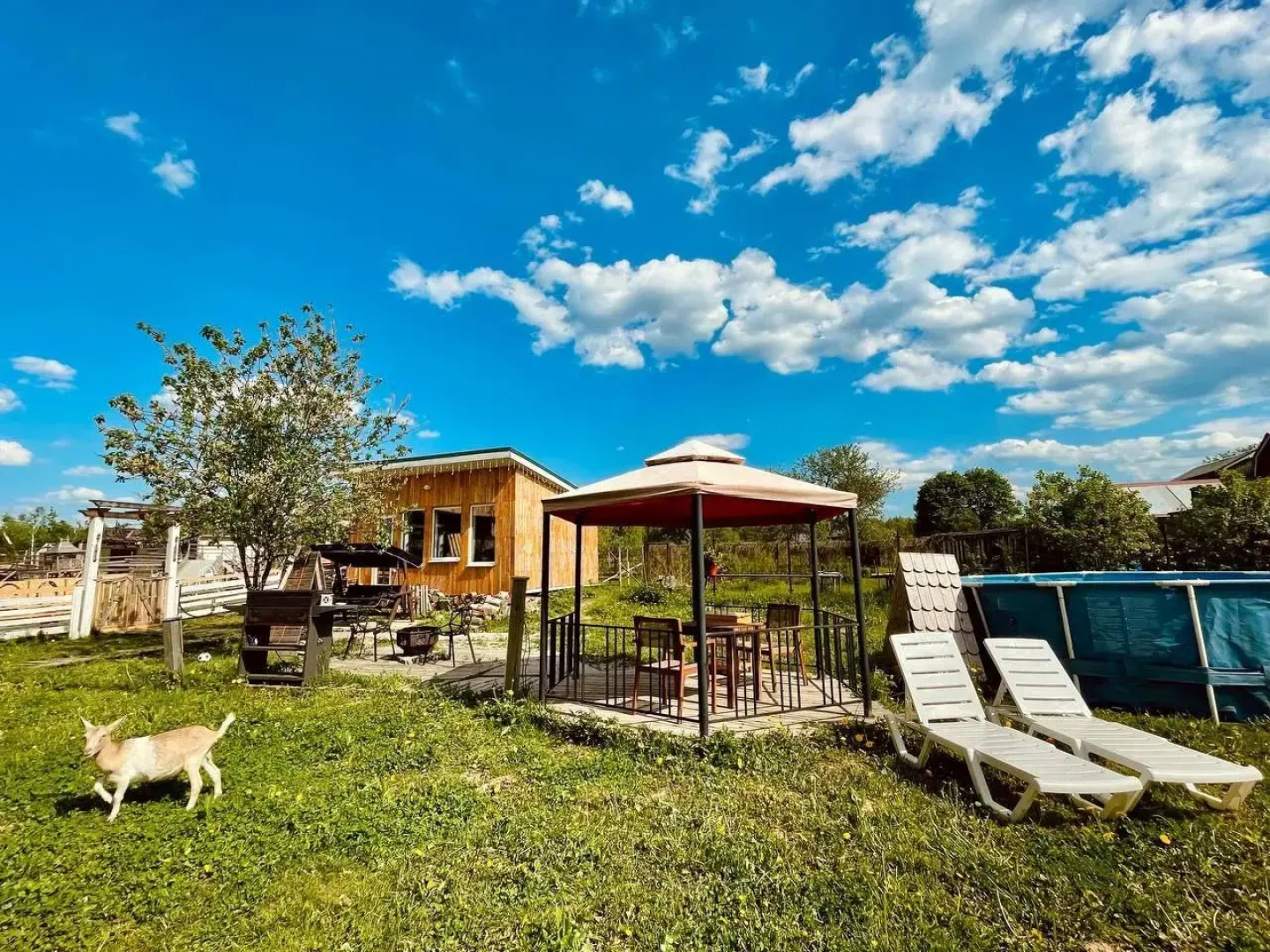 Семейная мини-ферма Фазенда