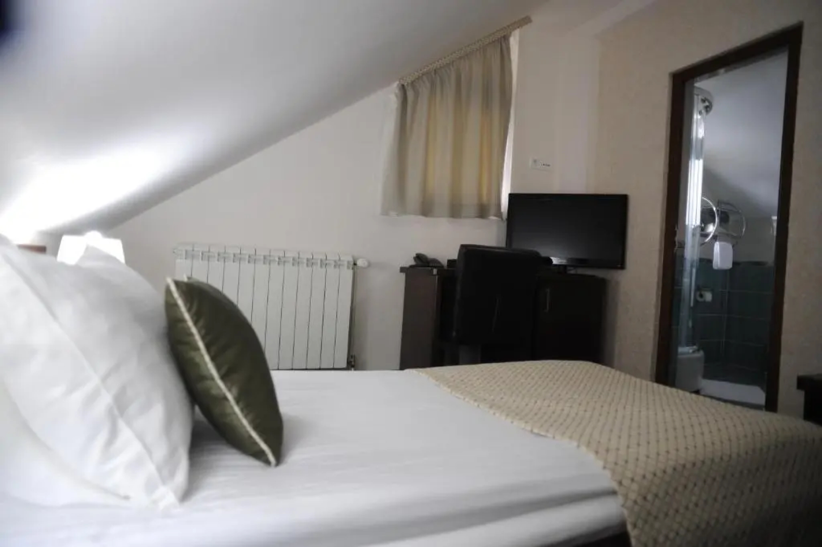 Hotel Trebjesa