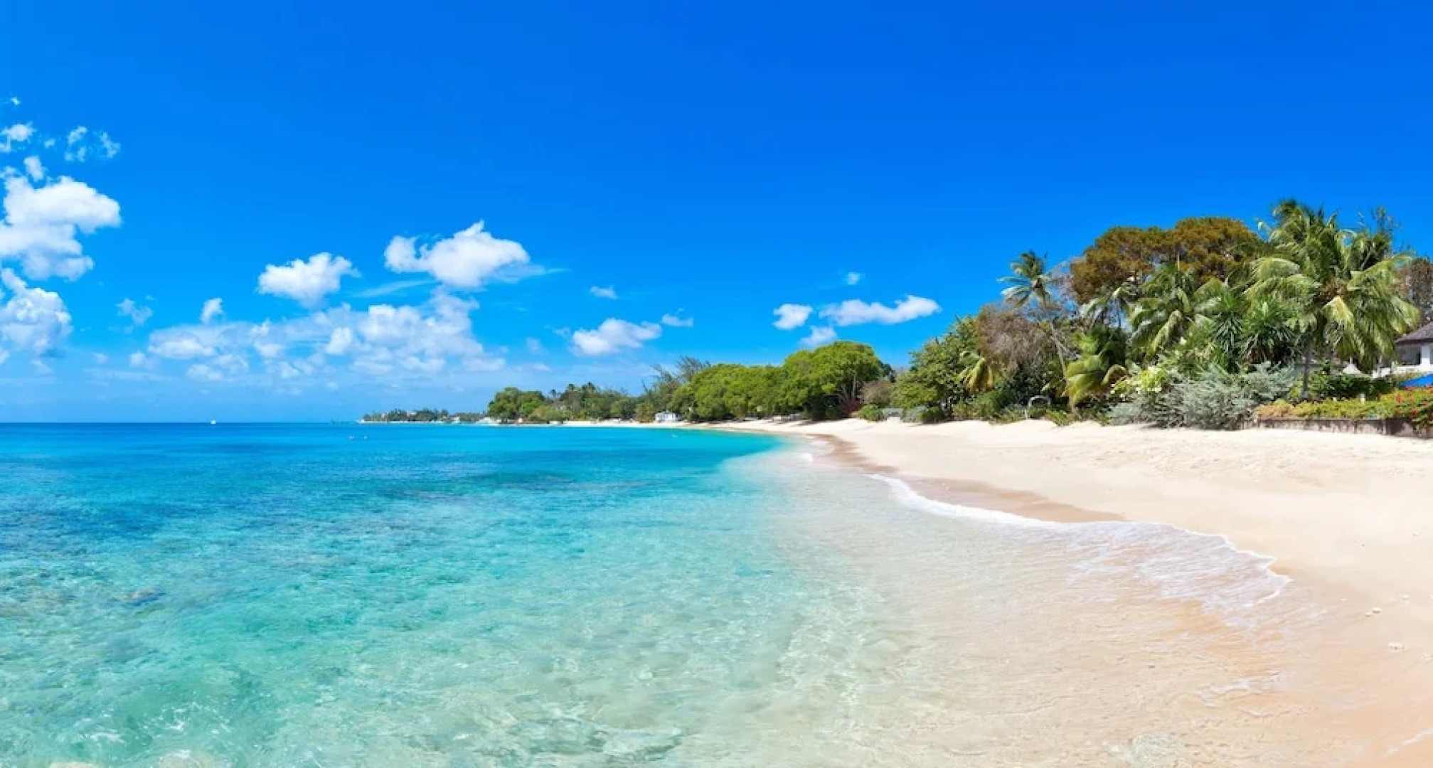 Emerald Beach 5 Aspicia by Altman