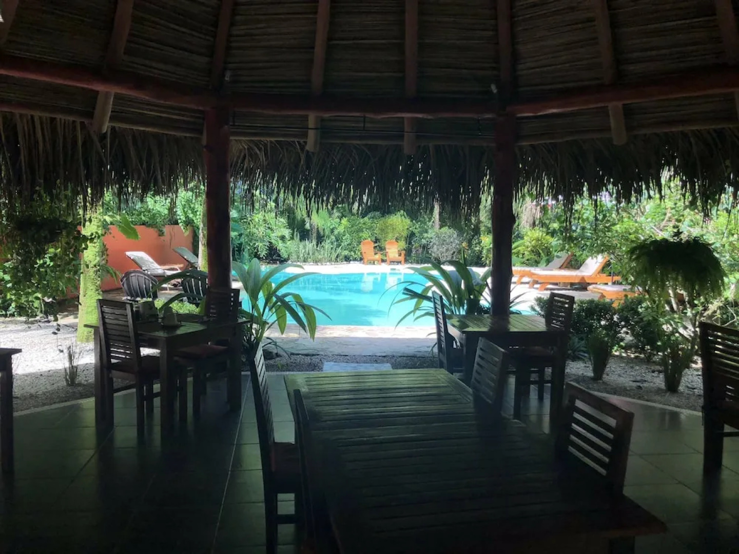 Hotel El Pequeño Gecko Verde