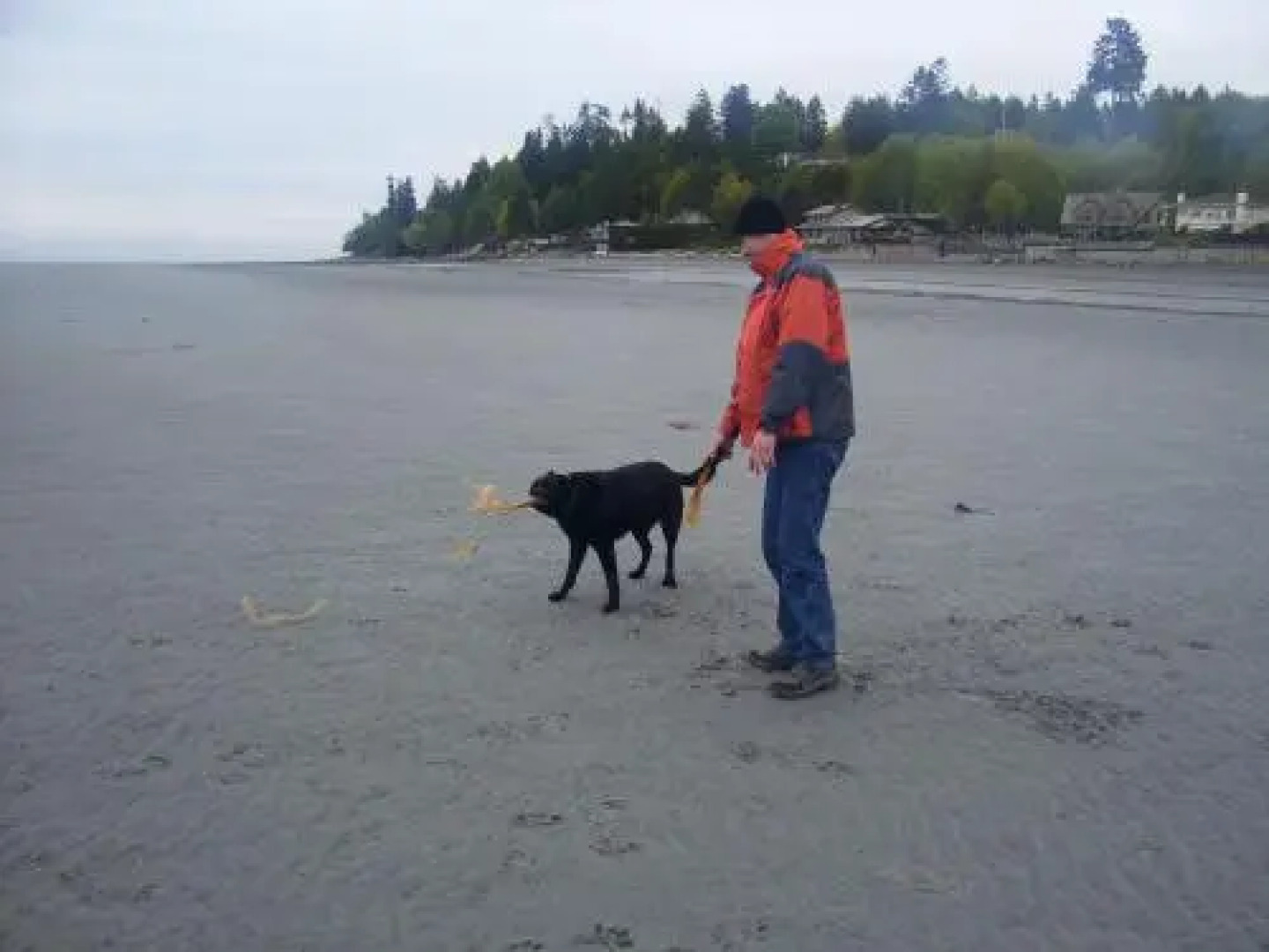 At Nautica Tigh Bed & Breakfast