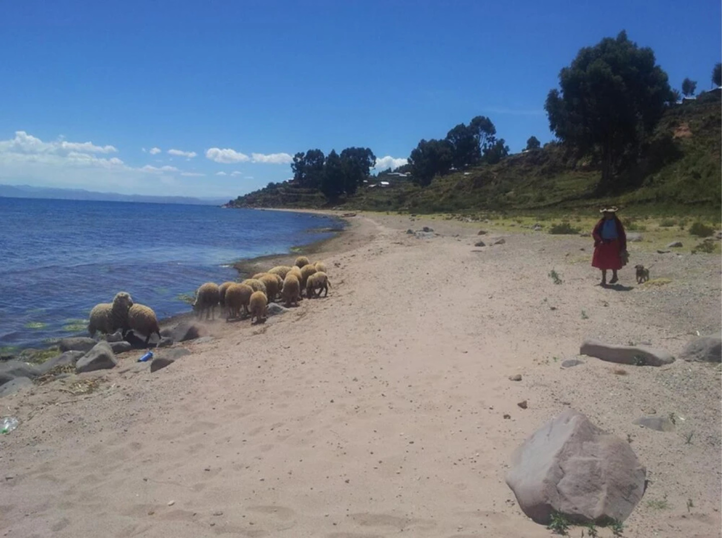 Hospedaje Munay Rosas