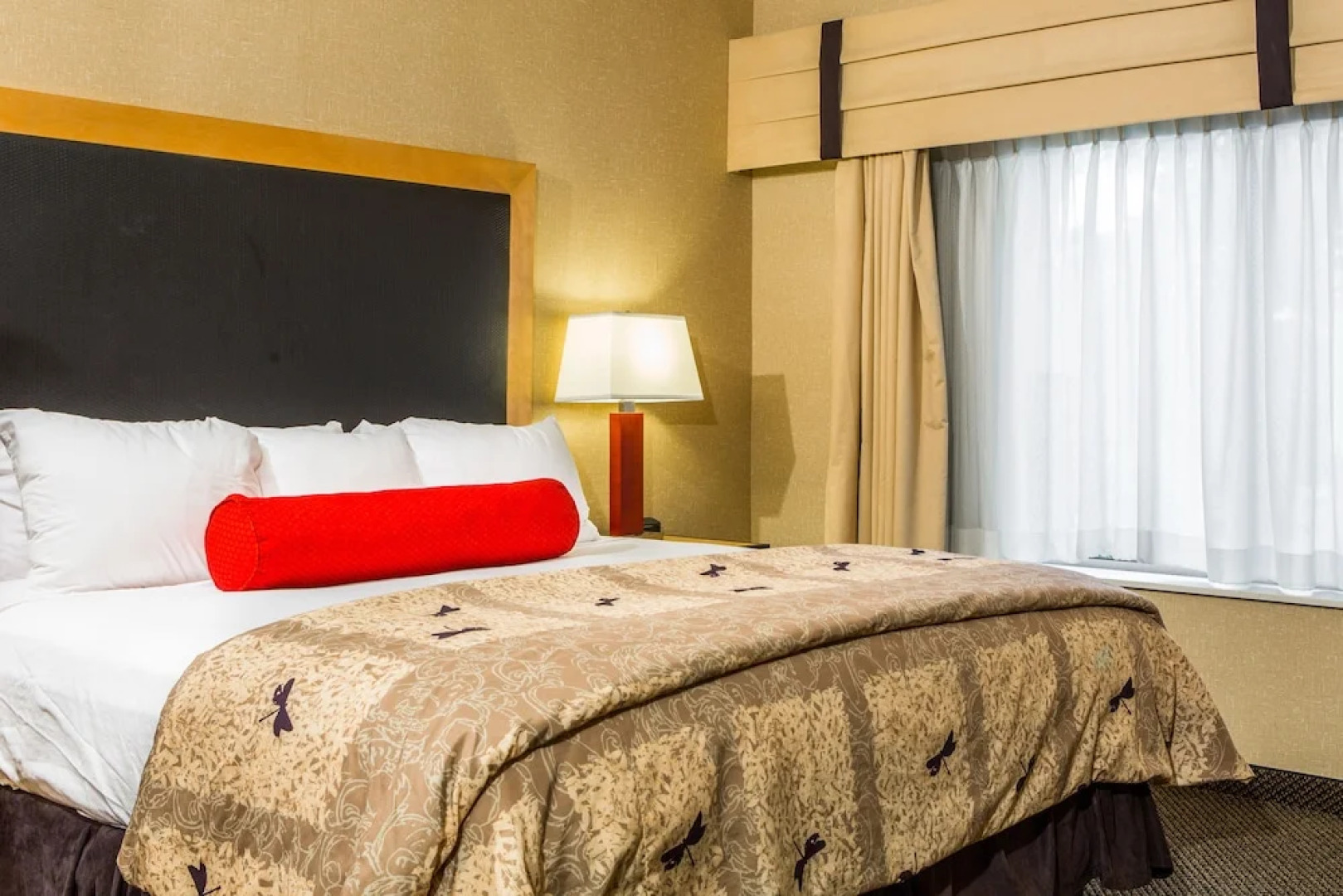 Cambria Suites Akron/Canton Airport