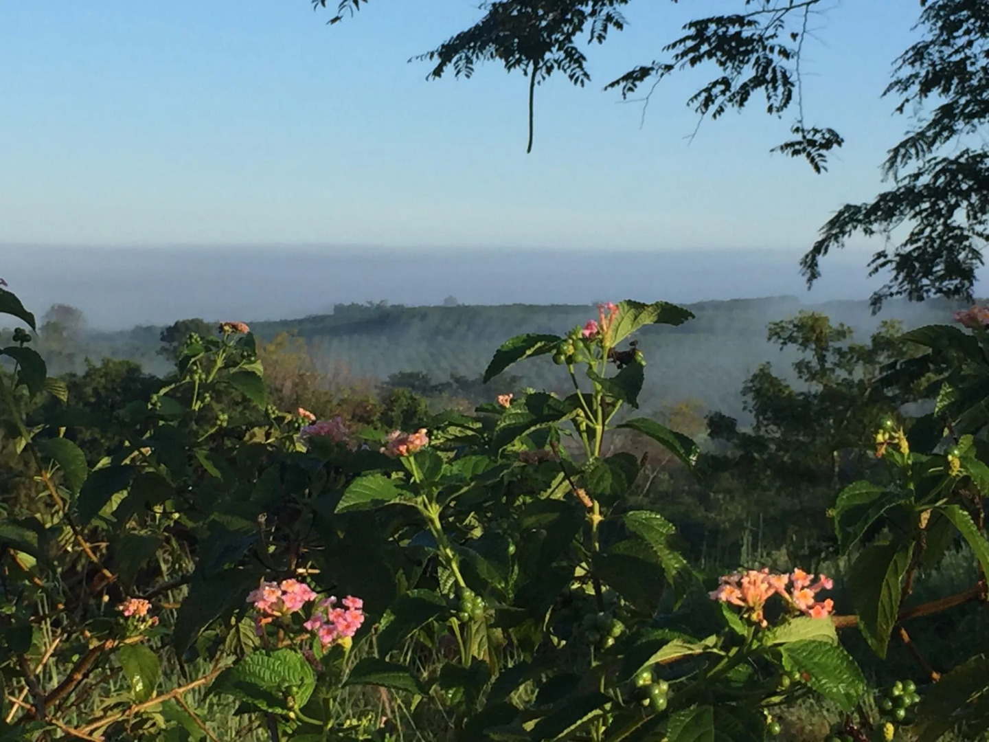 Khaoyai Nature Retreat