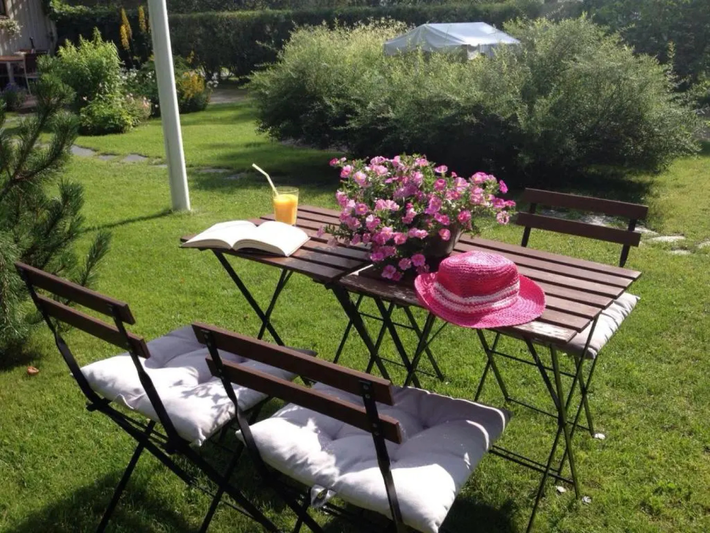 Casa Arctica Apartments