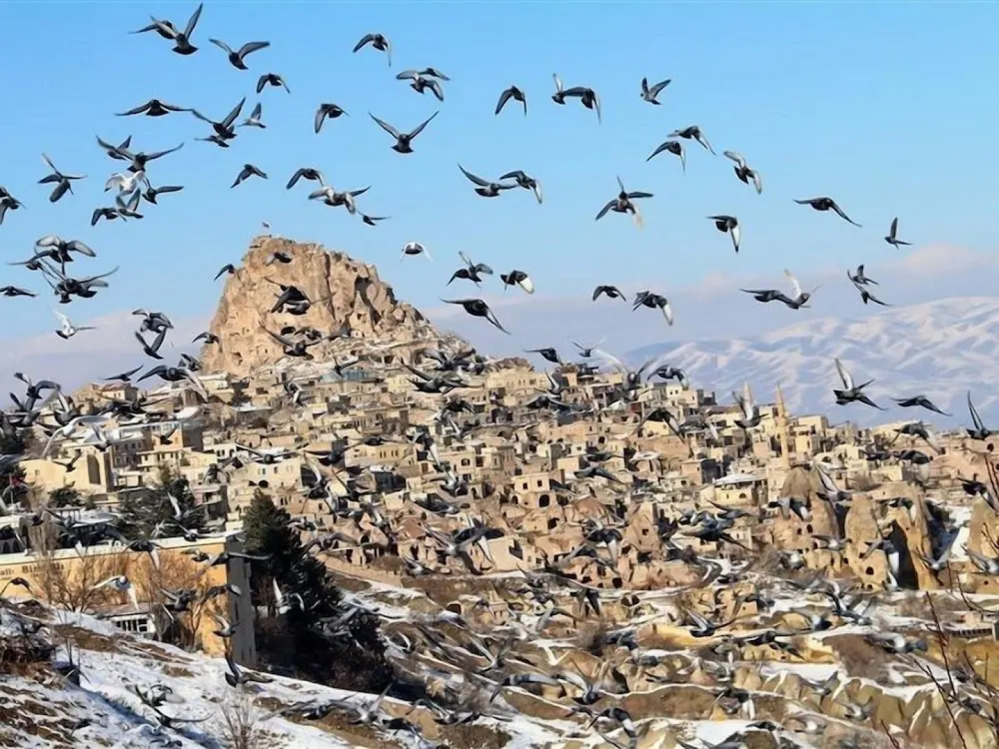 Pome Granate Cave Hotel