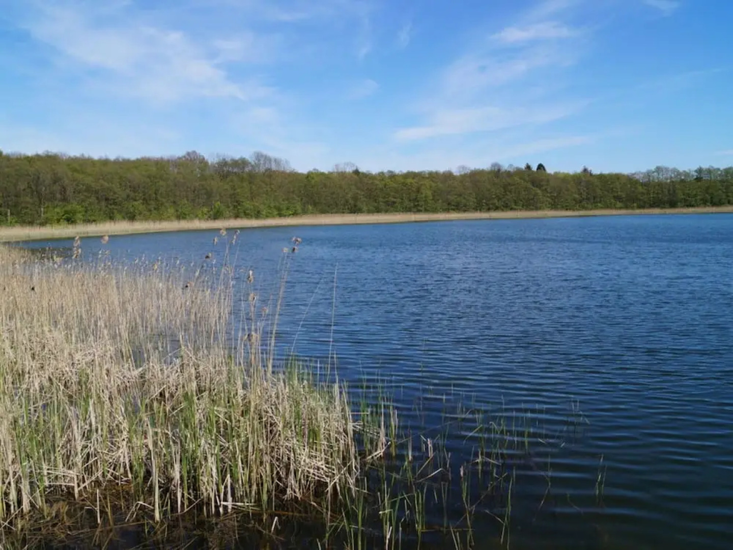 Small House on the Lake