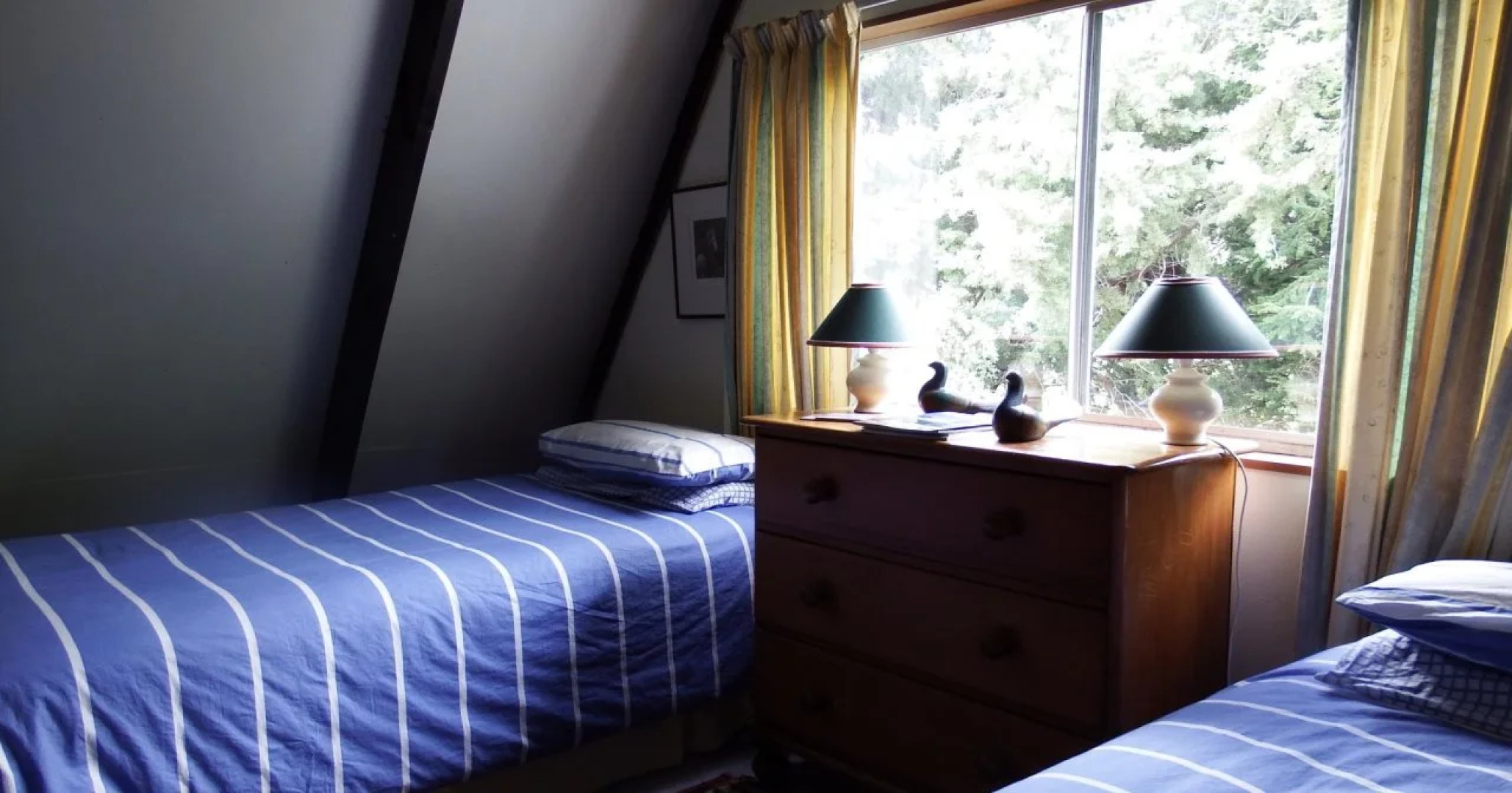 Dunstan Downs High Country Sheep Station