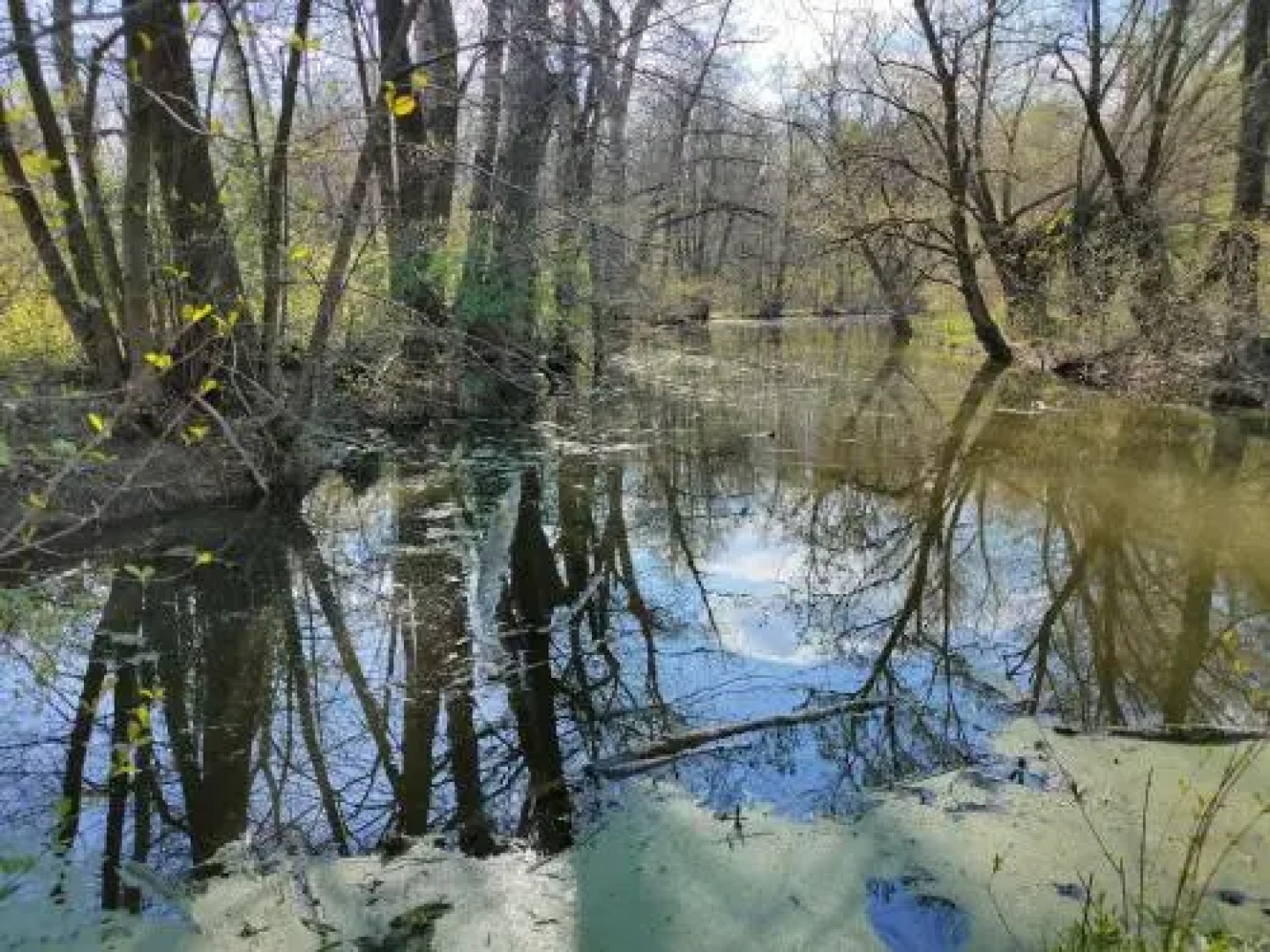 Chalupa v zahradě mezi vinohrady