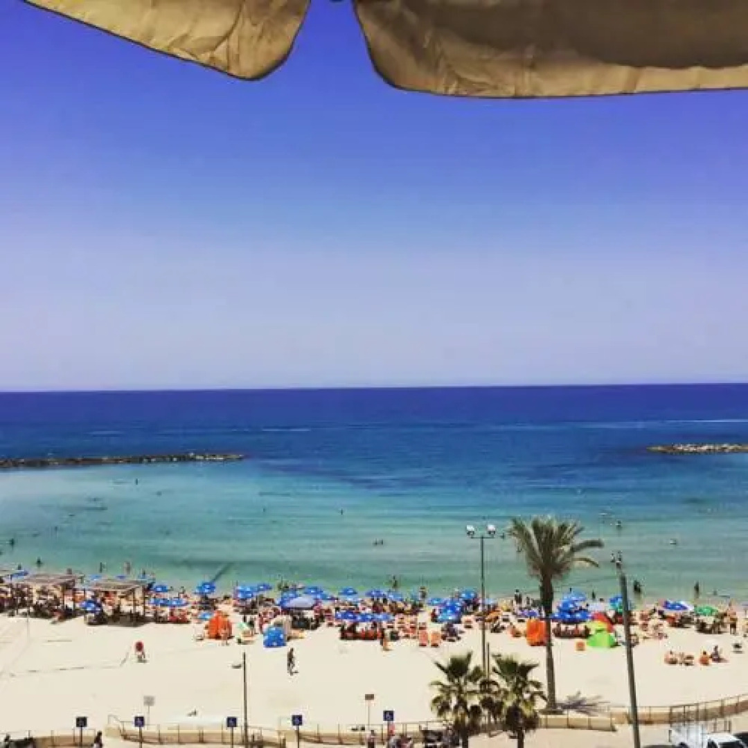 Shantell Boutique Apartments