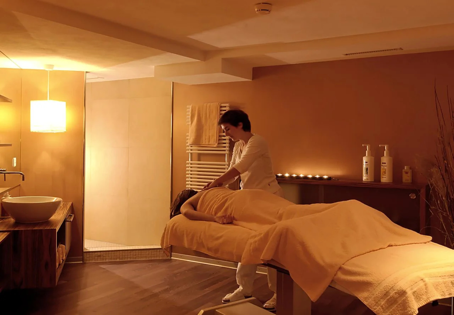 Hotel Spinne