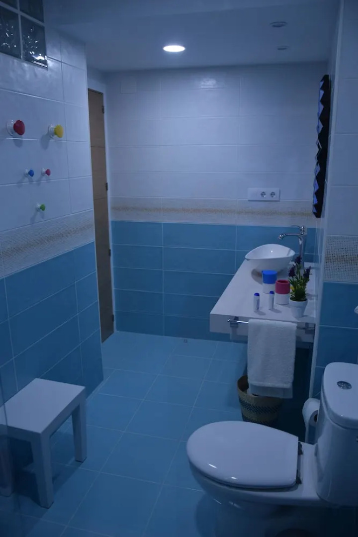 Apartamentos Coso de San Albin