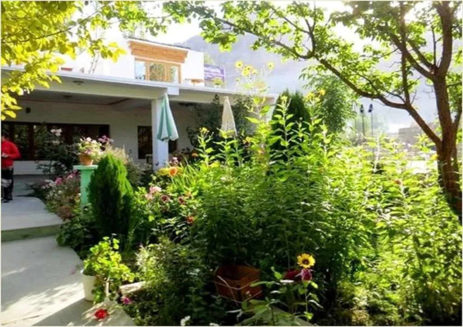 A O Guest House & Home Stay