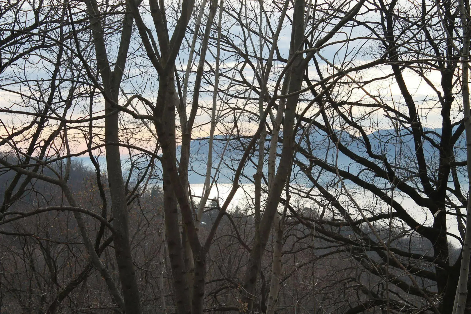 Rustico Grande Terreno