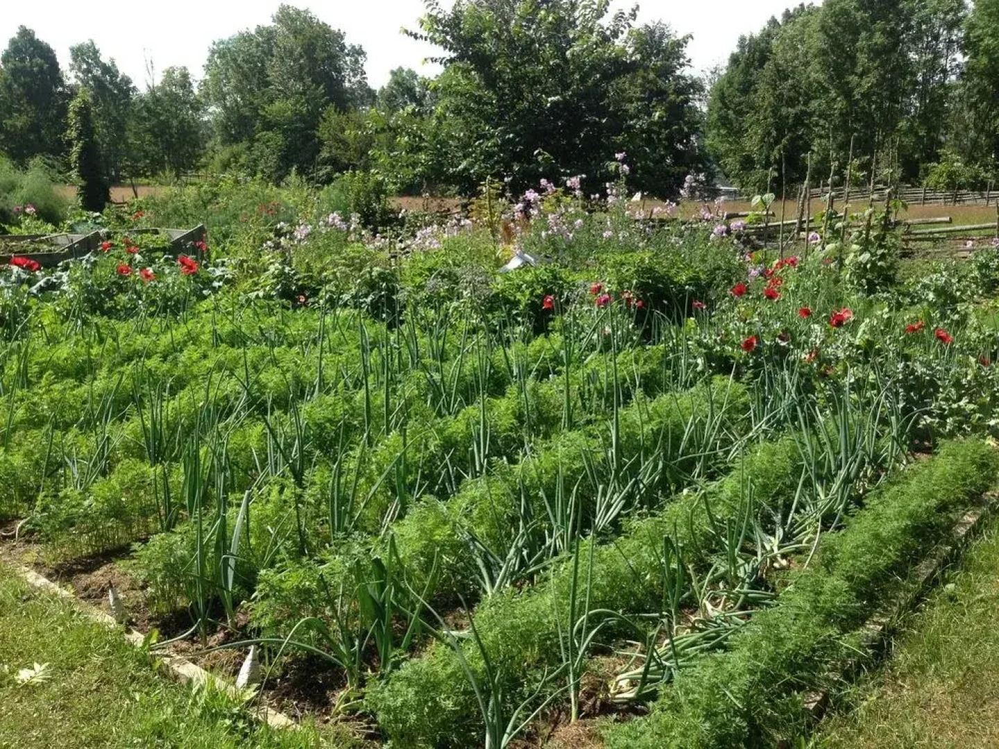 Urnatur Eco Treehouse Lodge