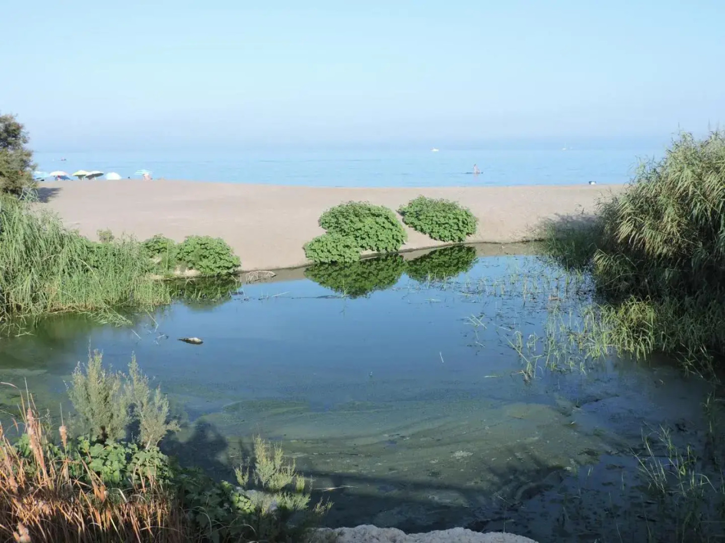 Urbanización Manilva Beach 21