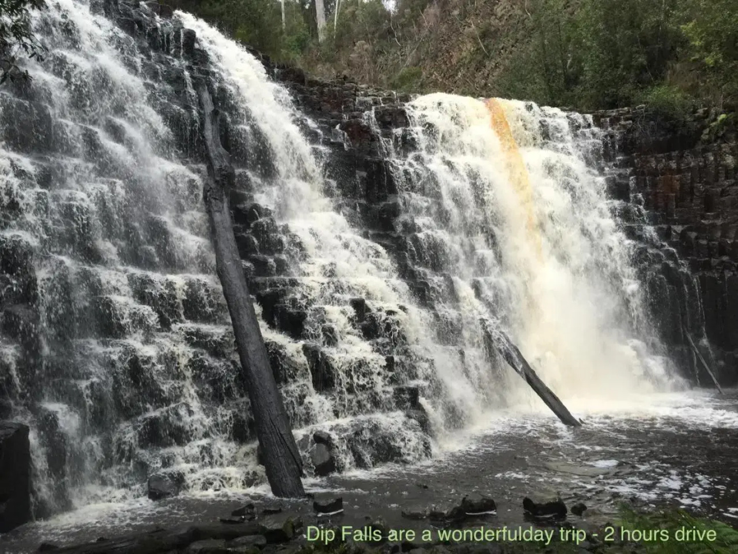 Penguin Seaside Homestay