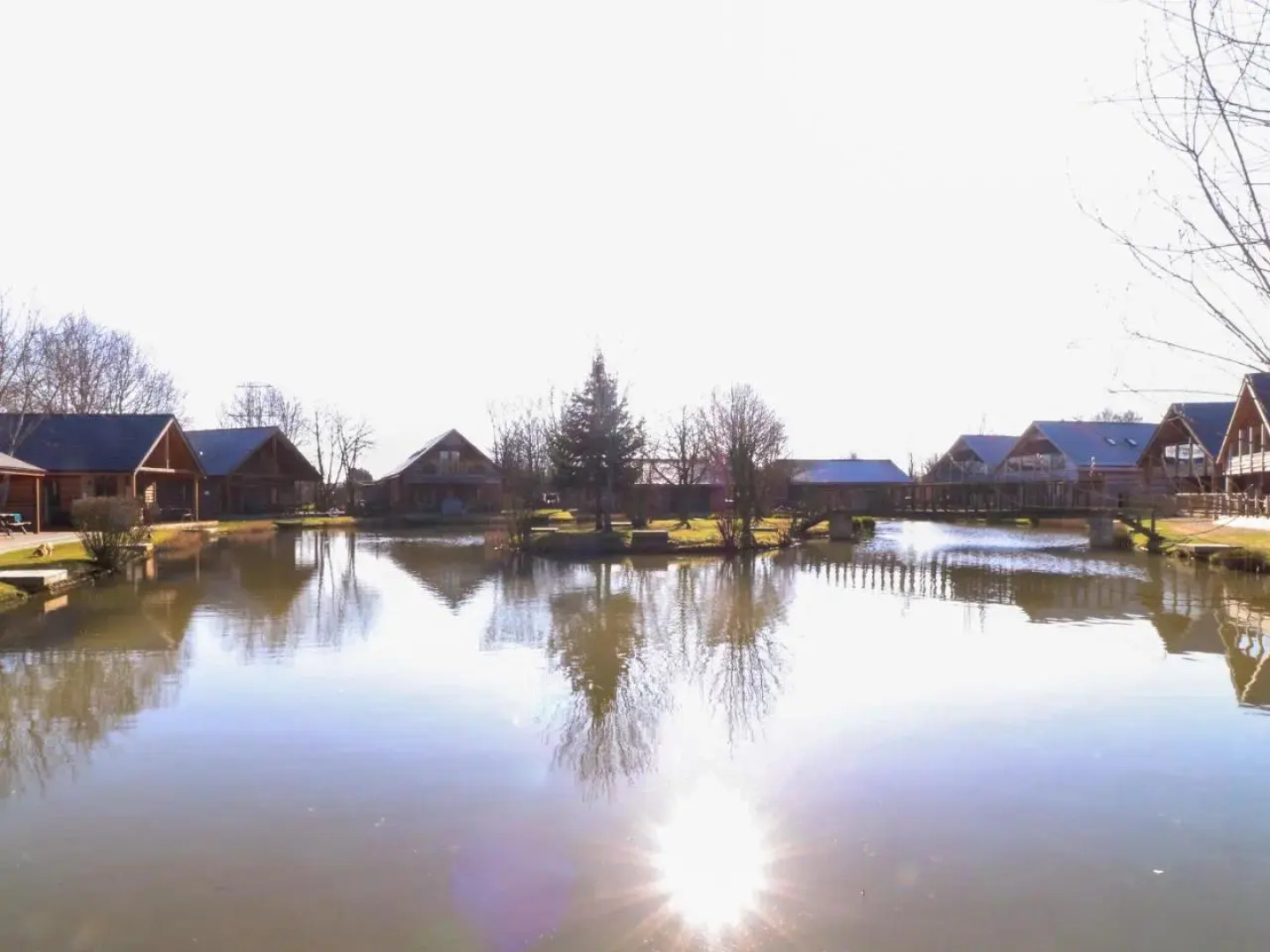 The Green Monkey (Adults Only)