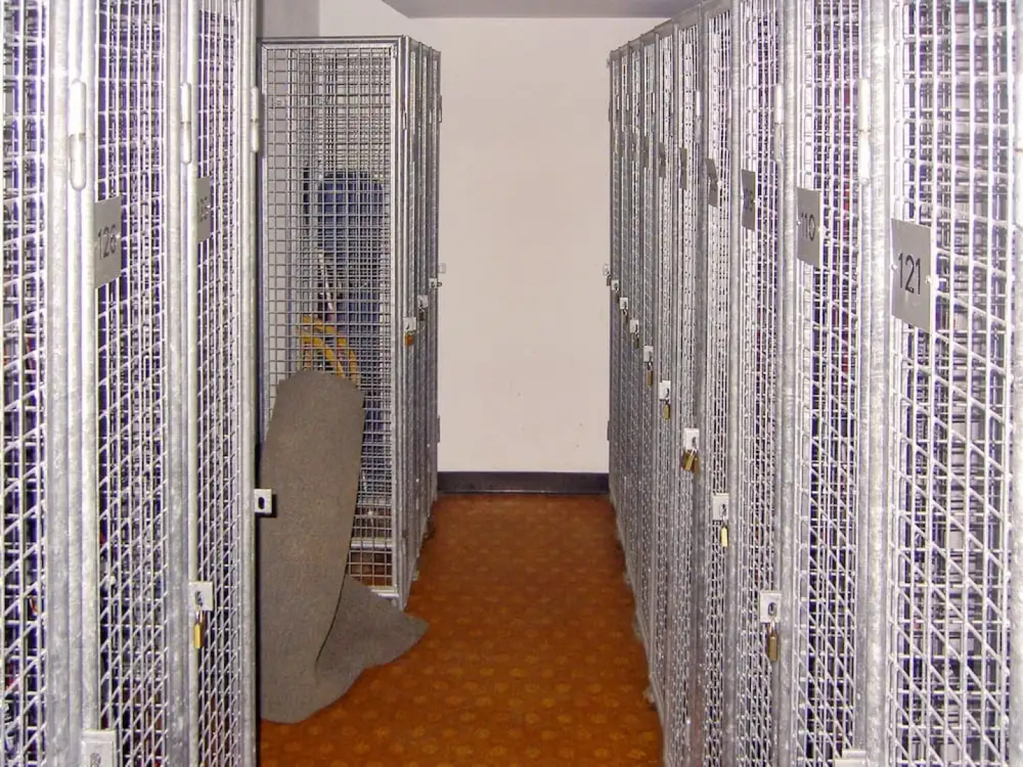 Apartment With one Bedroom in Torgon, With Wonderful Mountain View and Furnished Garden