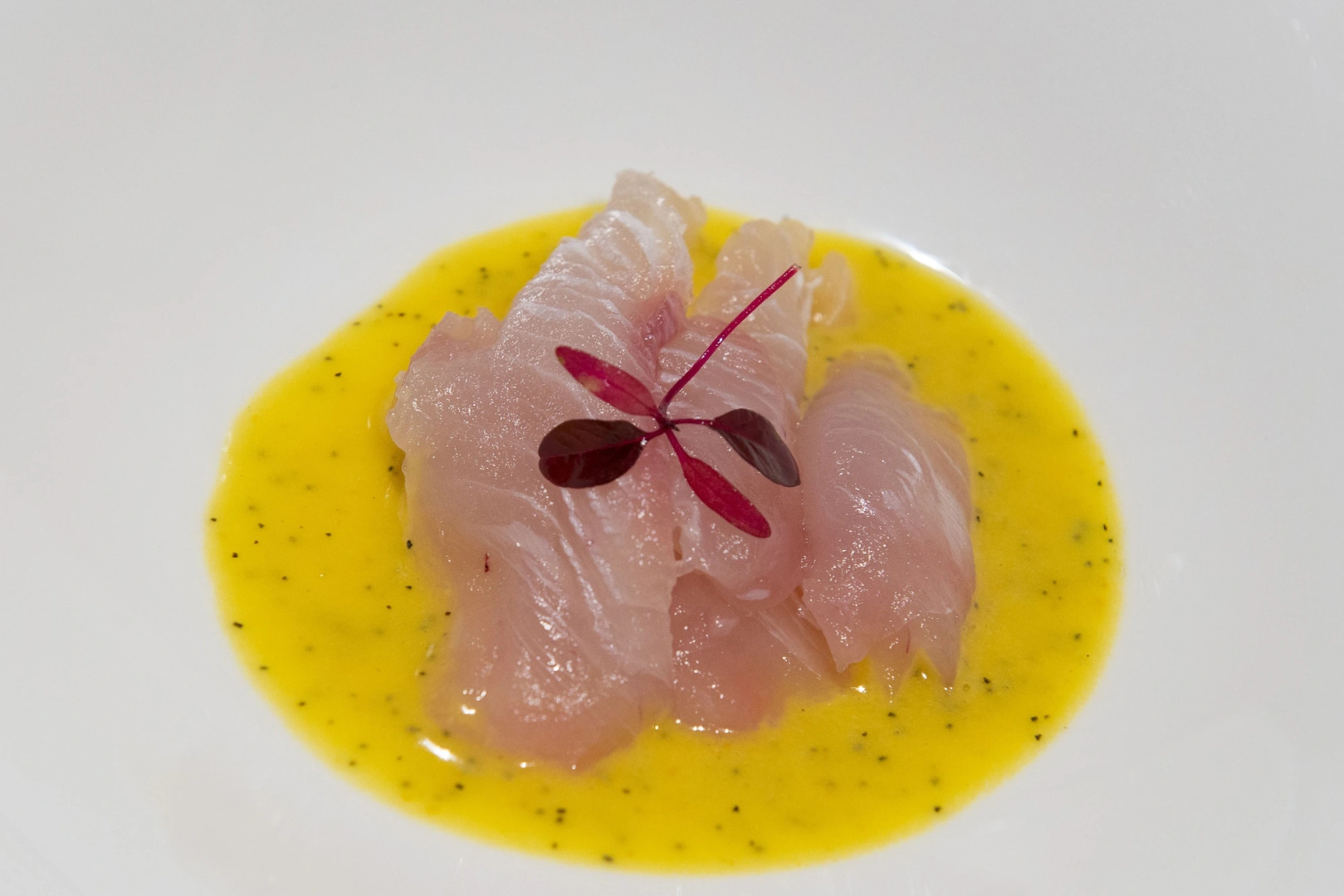 Casa Chameleon Hotel Las Catalinas - Adults Only