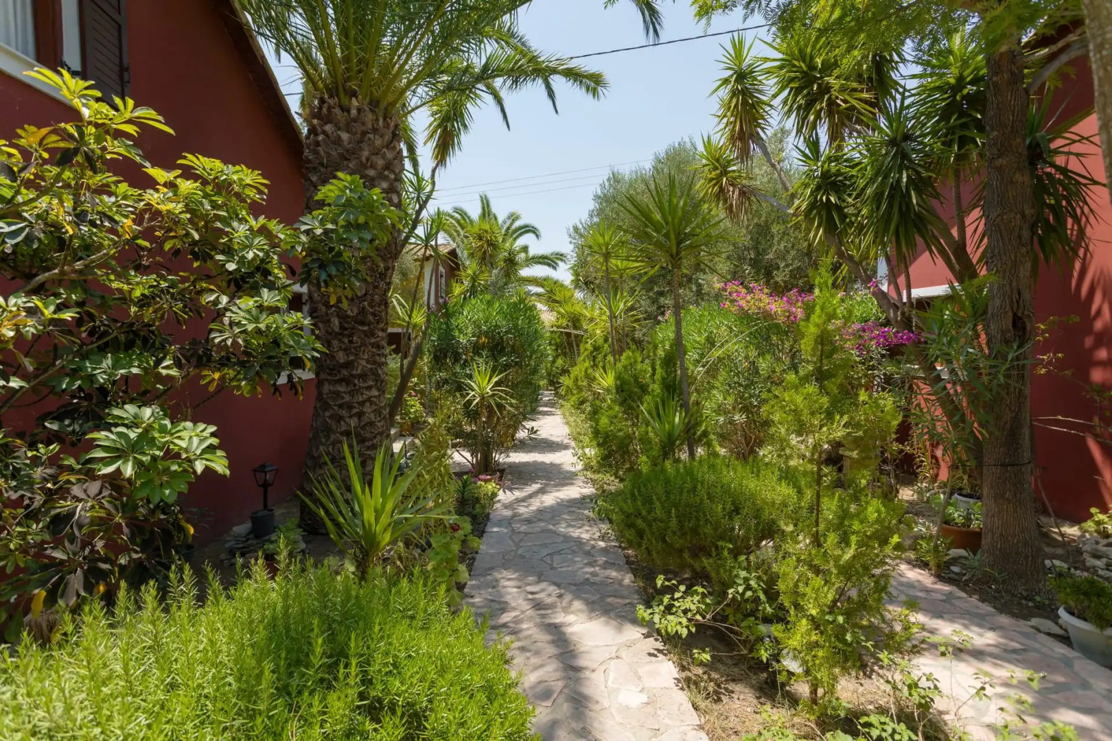 Garden of Eden Zante